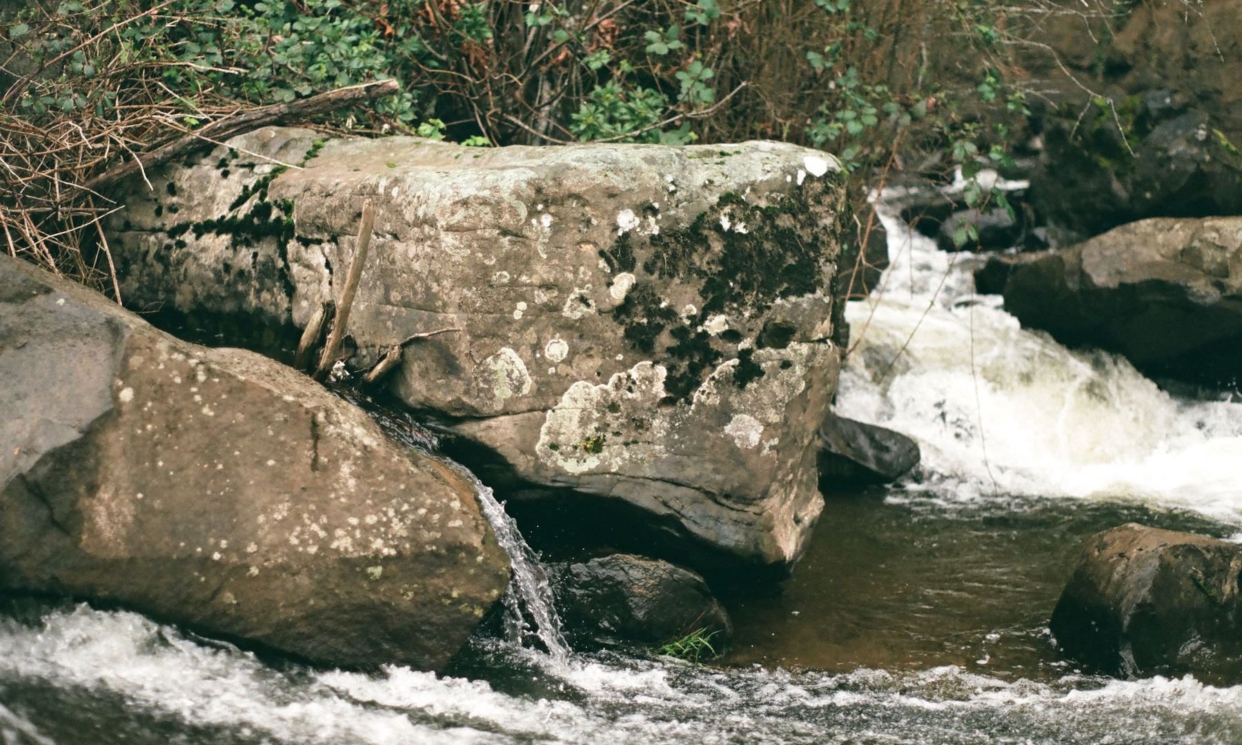 millstone_photoresearch_april3_hydrophone_05.jpeg