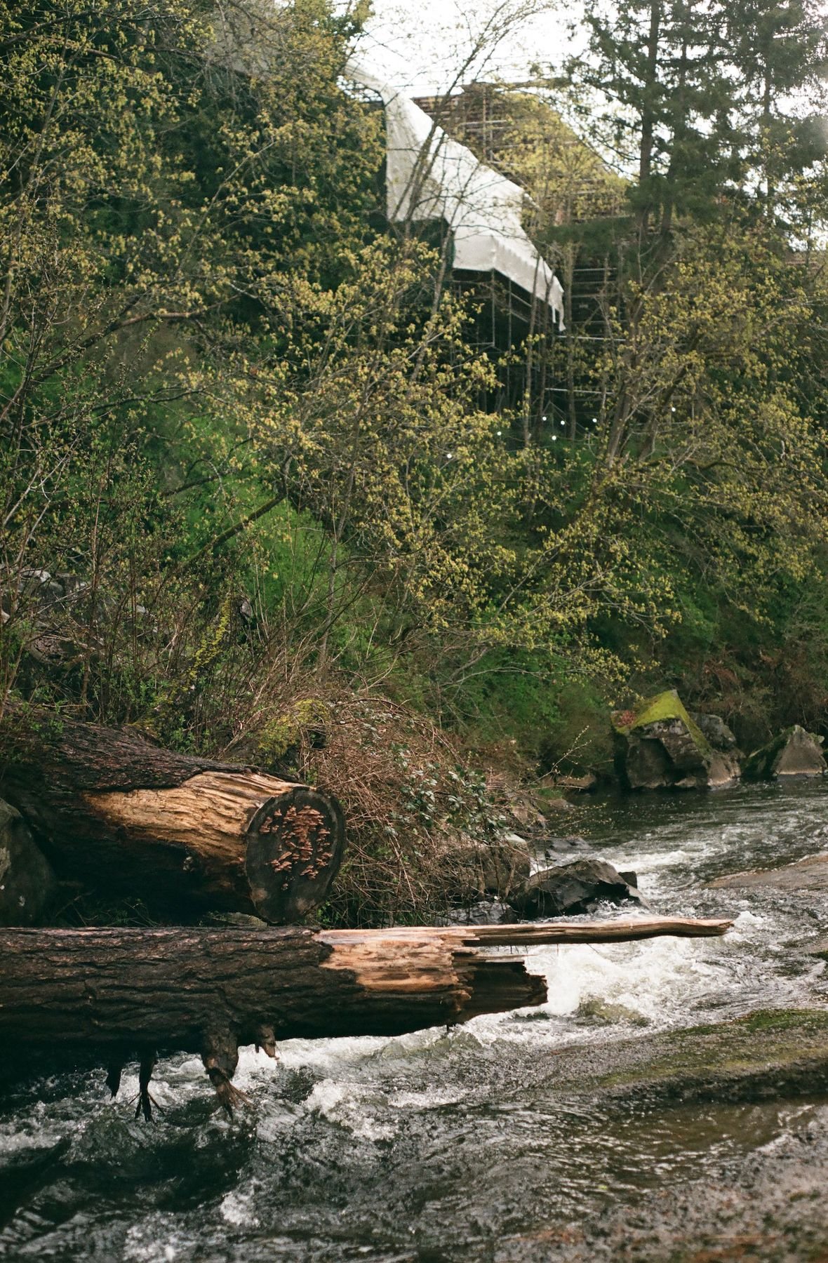 millstone_photoresearch_april3_hydrophone_06.jpeg