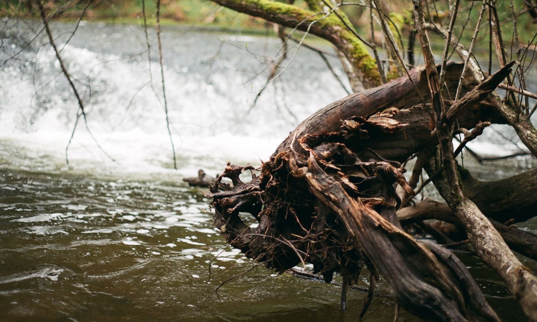 millstone_photoresearch_april3_hydrophone_08.jpeg