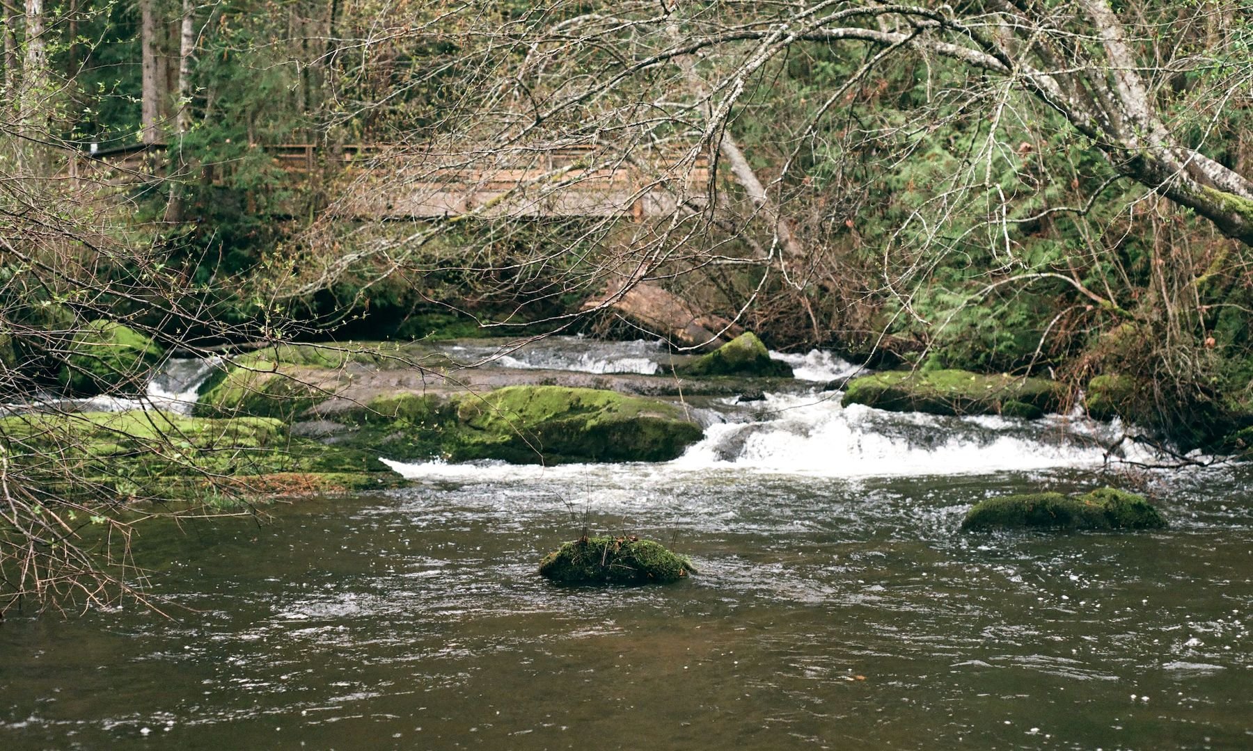 millstone_photoresearch_april3_hydrophone_11.jpeg