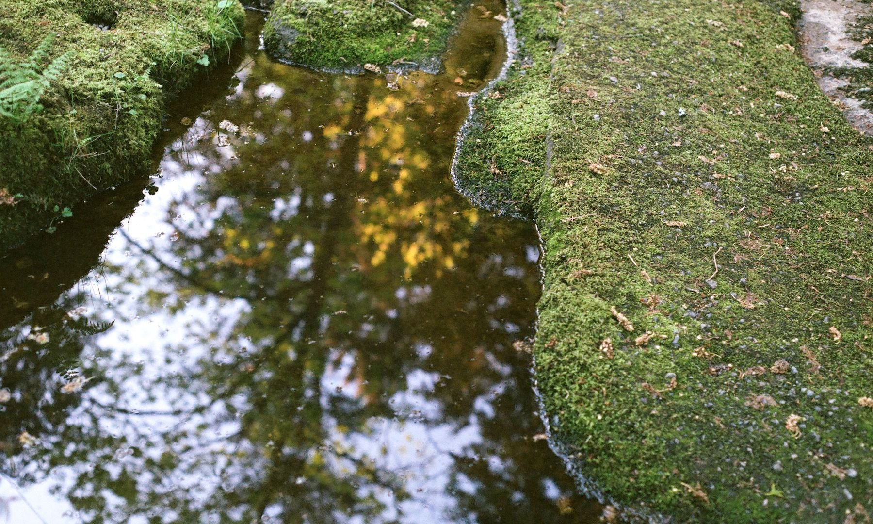 millstone_photoresearch_may8_river_04.jpeg