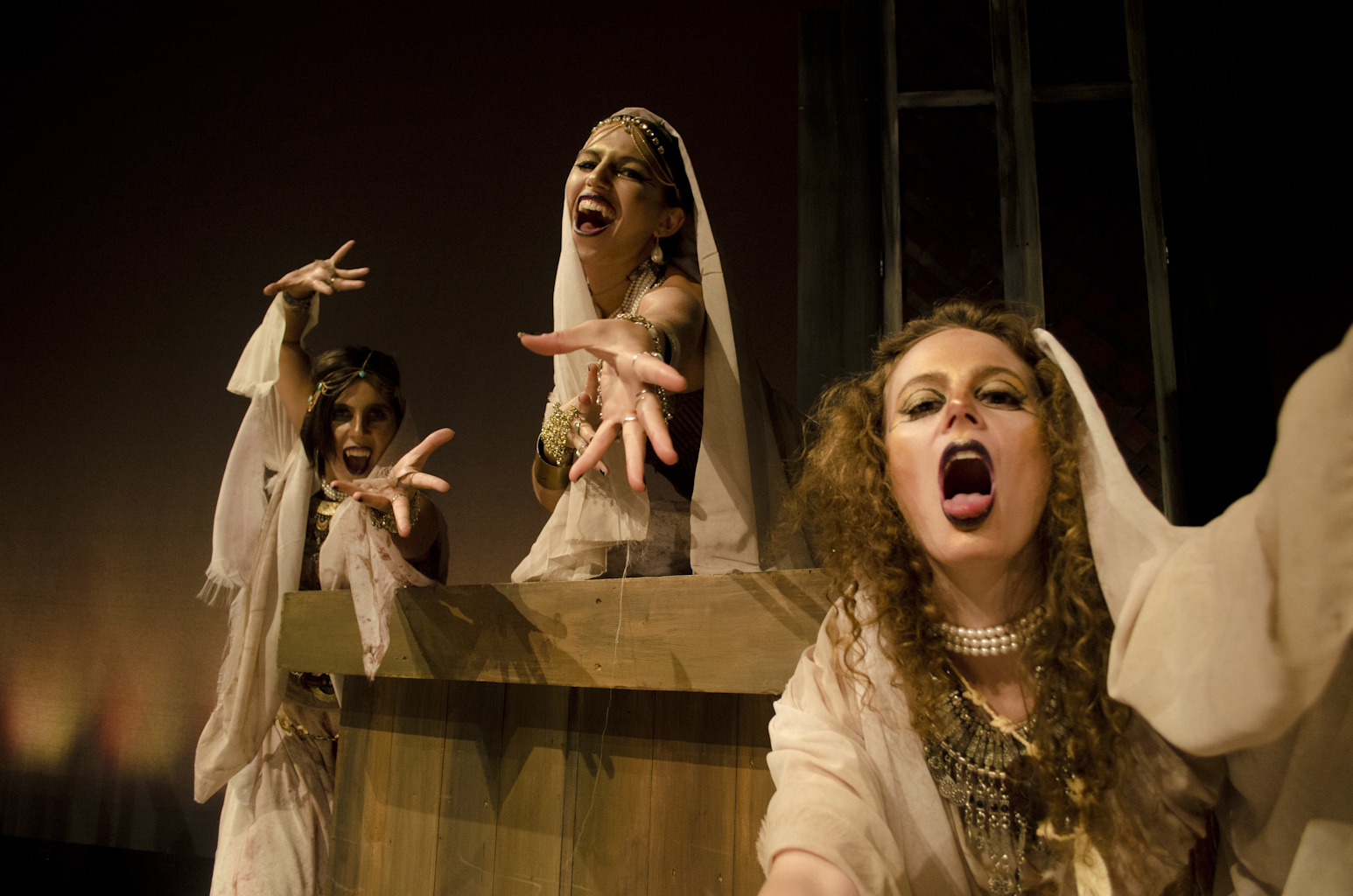 Bram Stoker's Dracula , 2016 Photo by Jessica Wilkowski