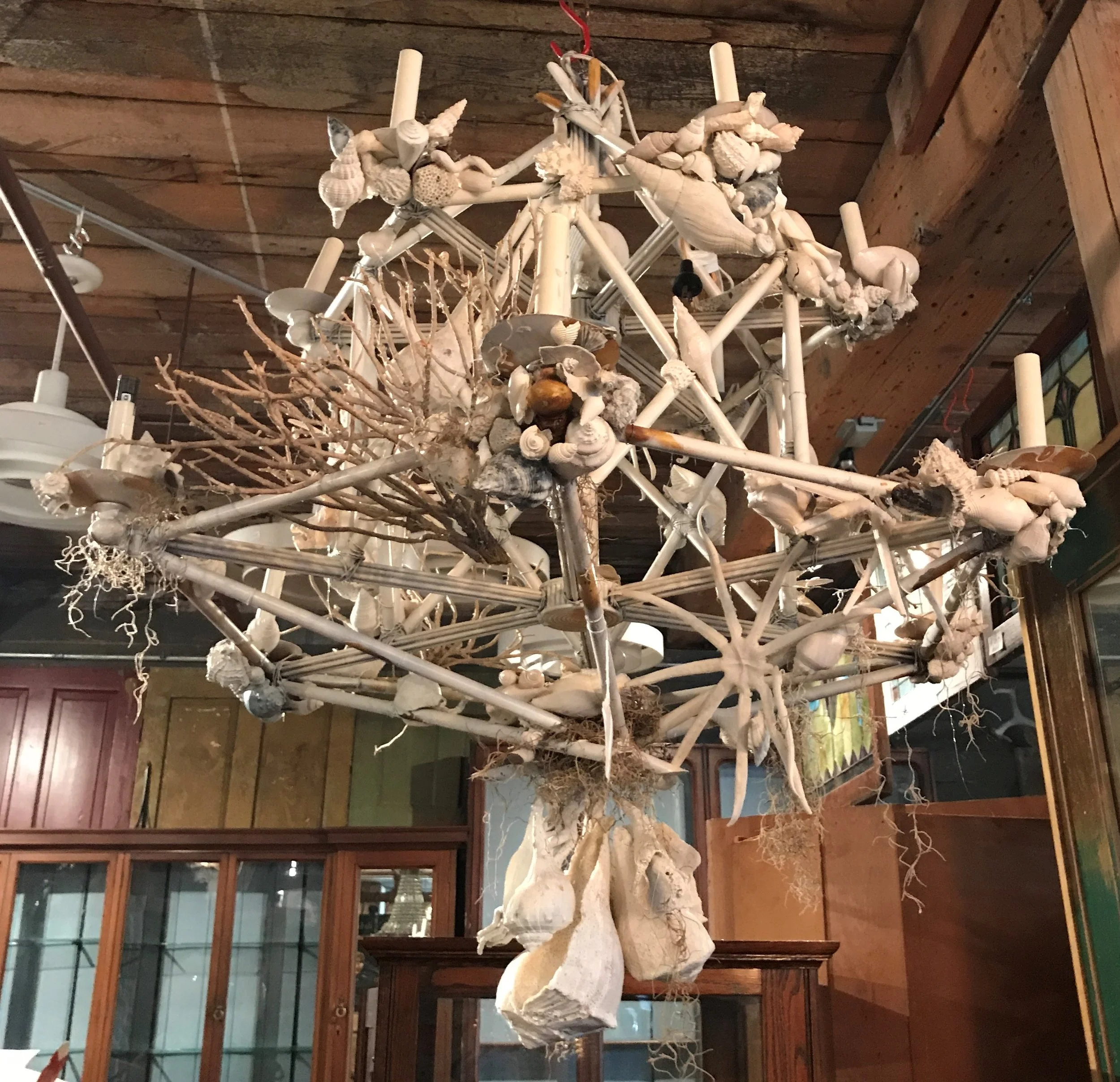 Custom Designer Created Seashell Chandelier