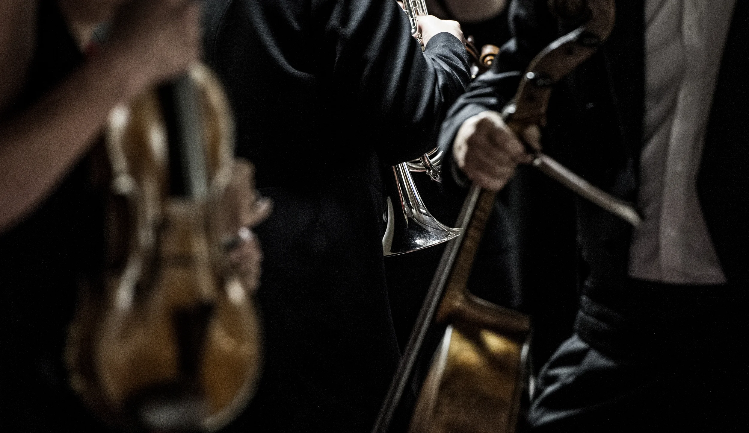 orchestra14.jpg