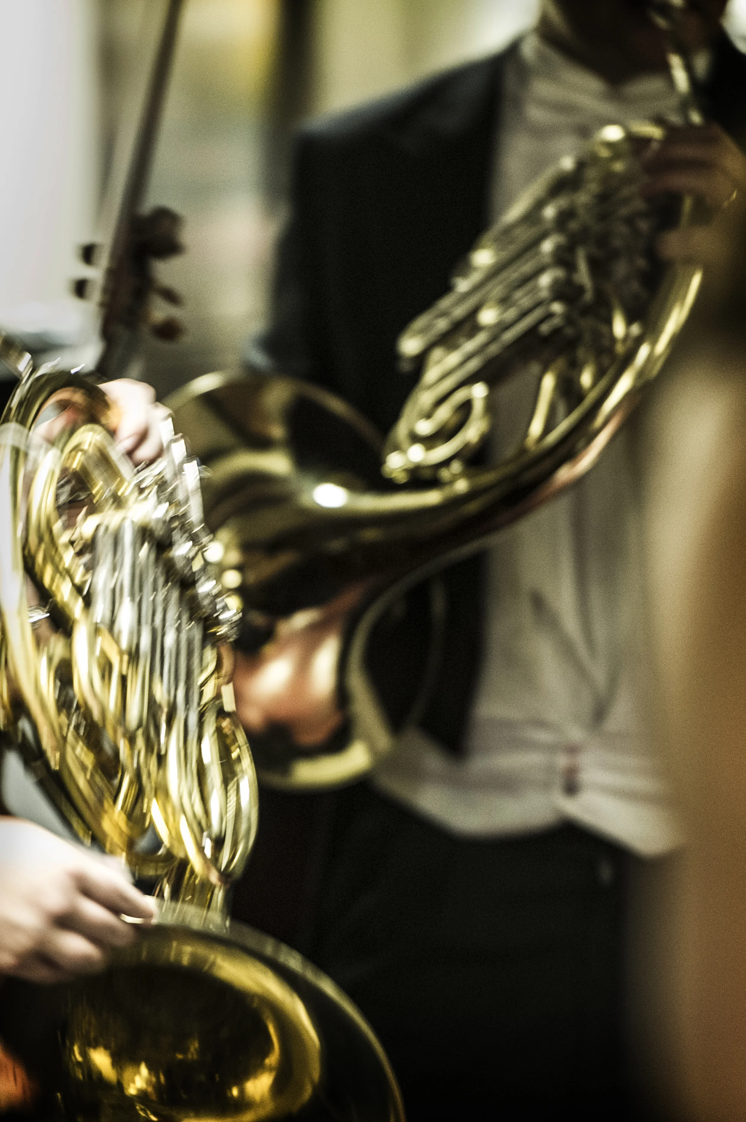 orchestra10.jpg