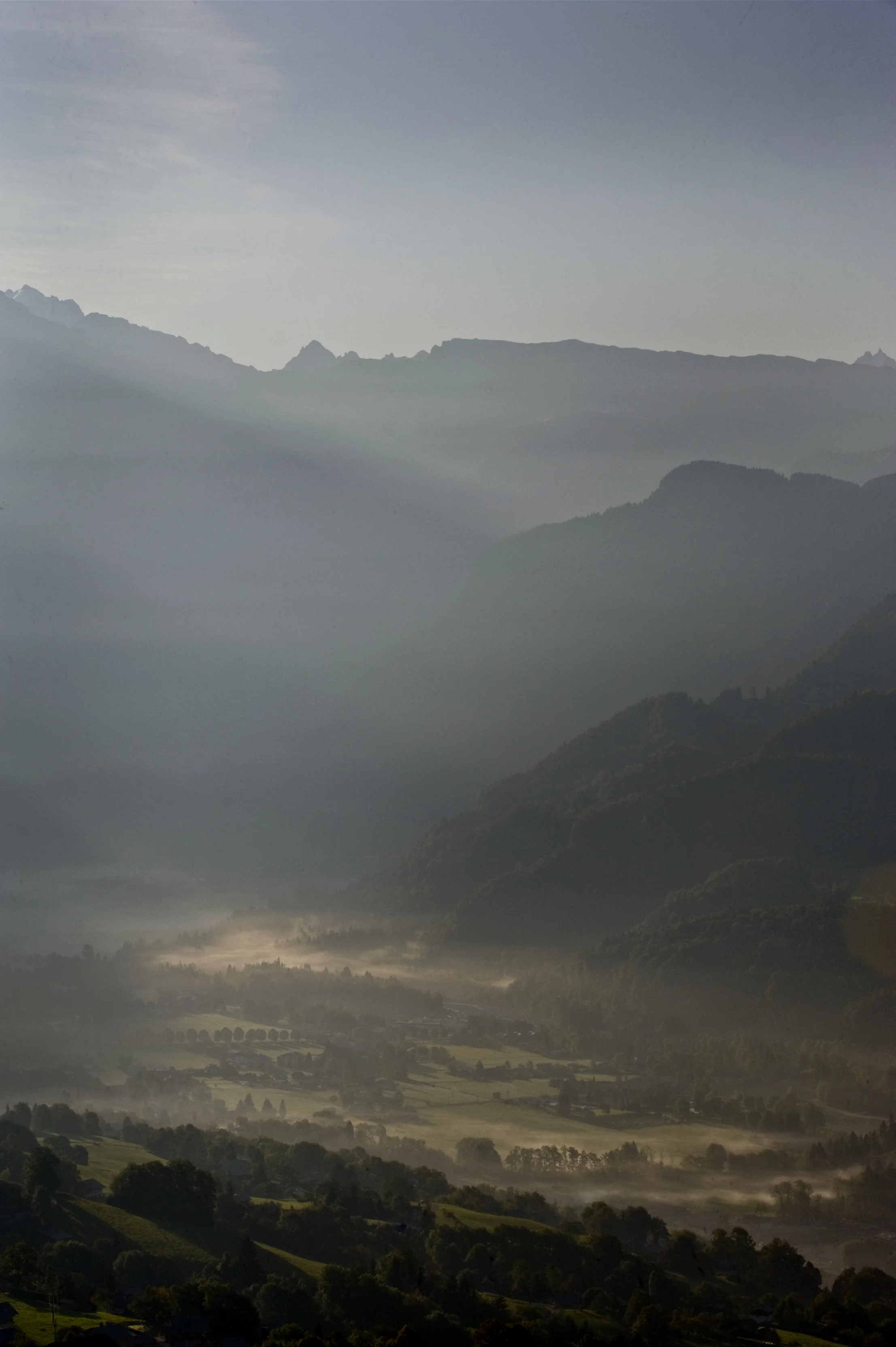 places04.jpg