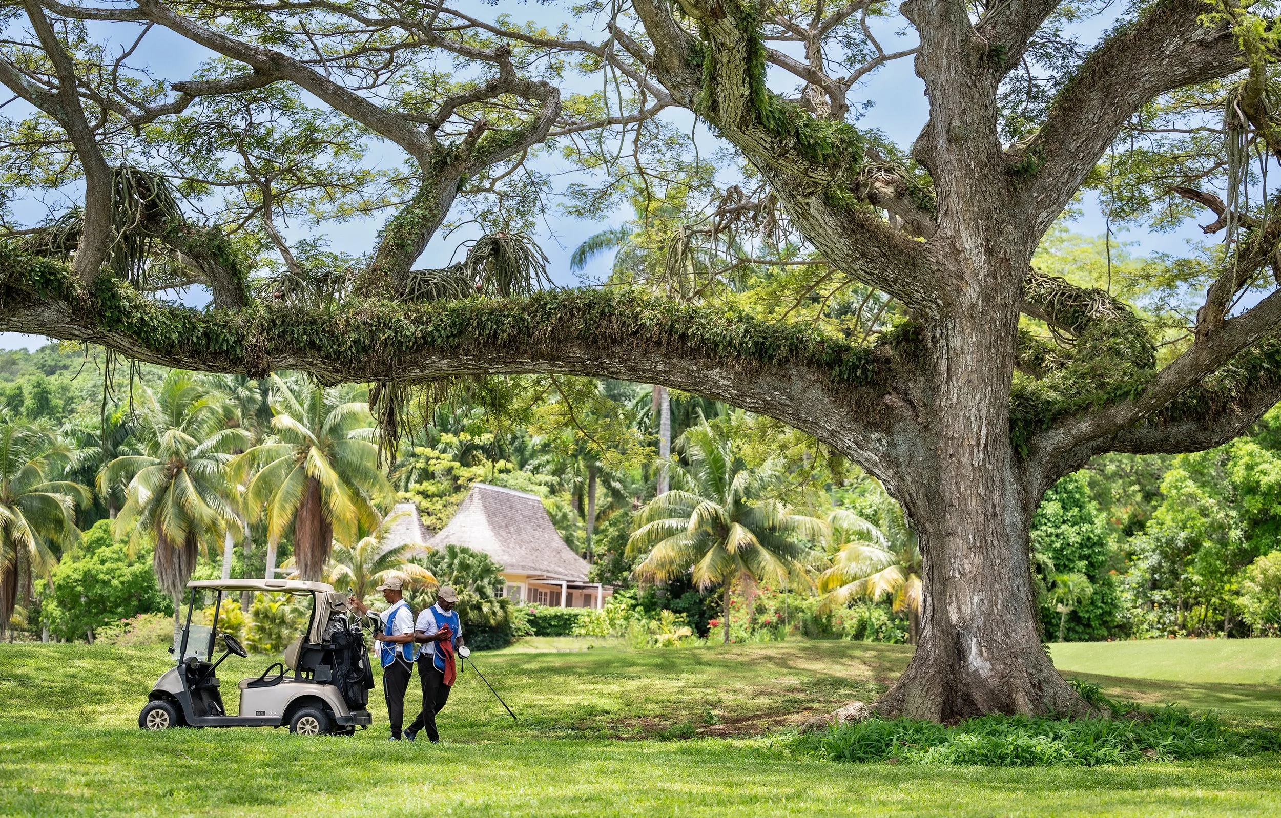 Tryall Golf  June 202435.jpg