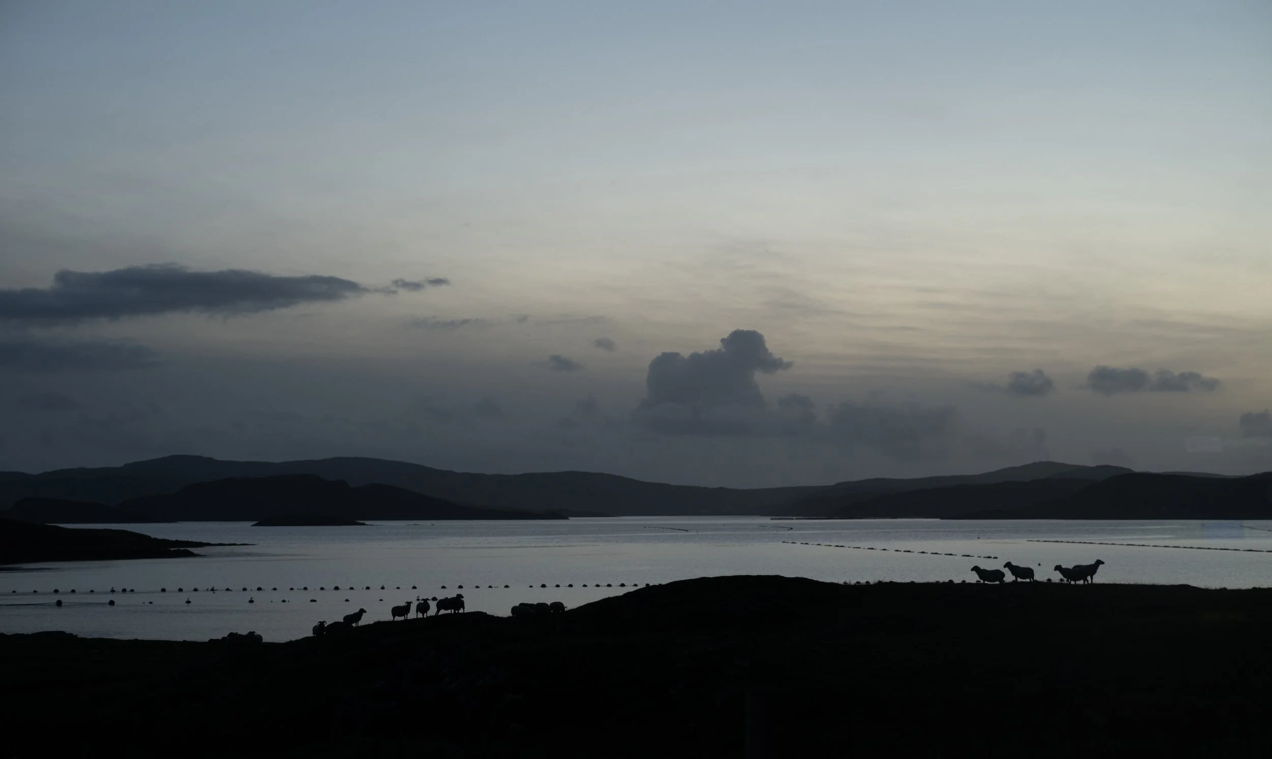 Scaliscro Sept2025088.jpg