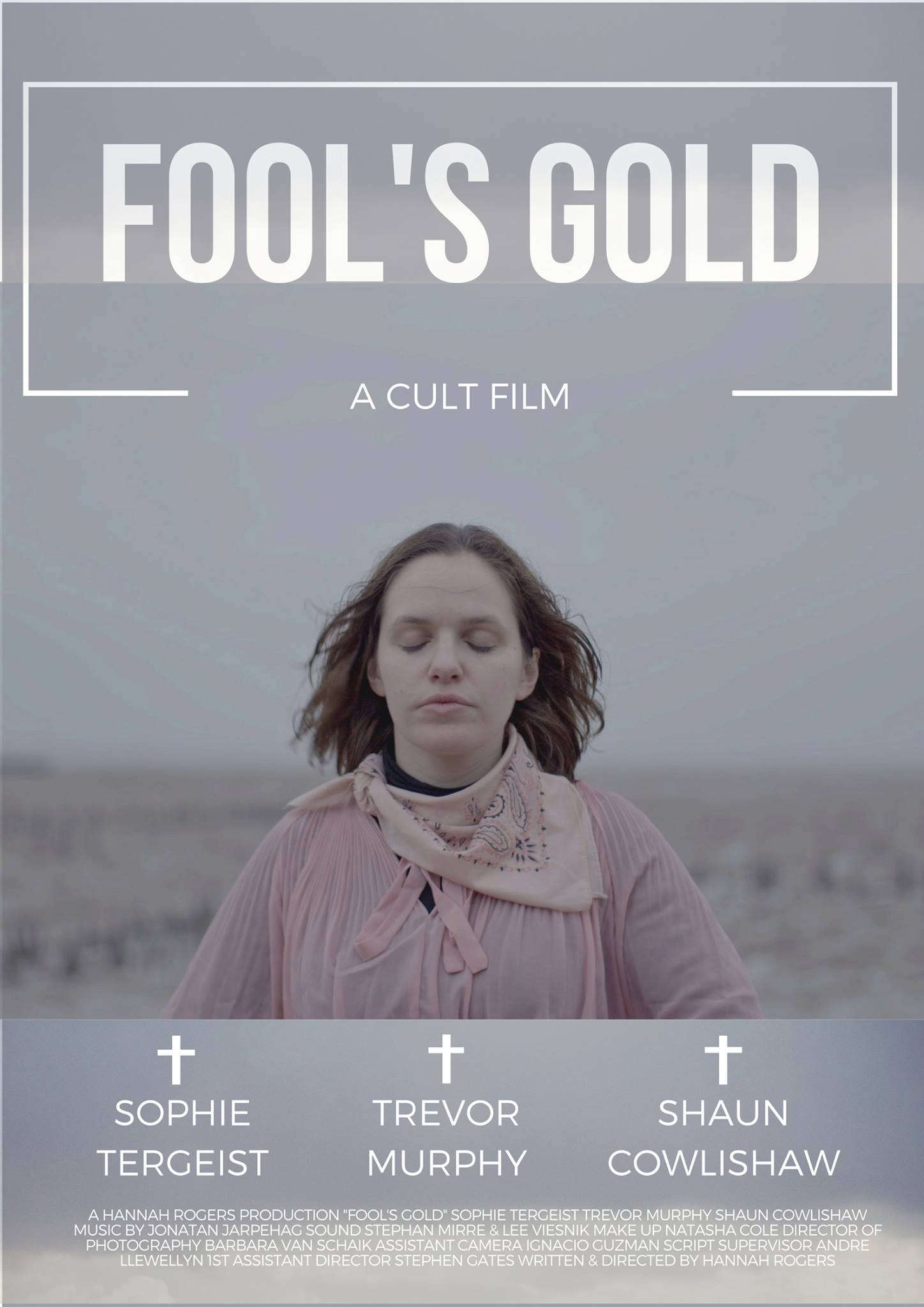 Fool's Gold poster.jpg