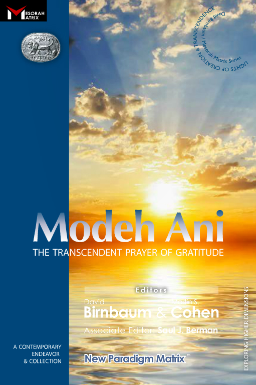 MSC_BookCover_ModehAni.jpg