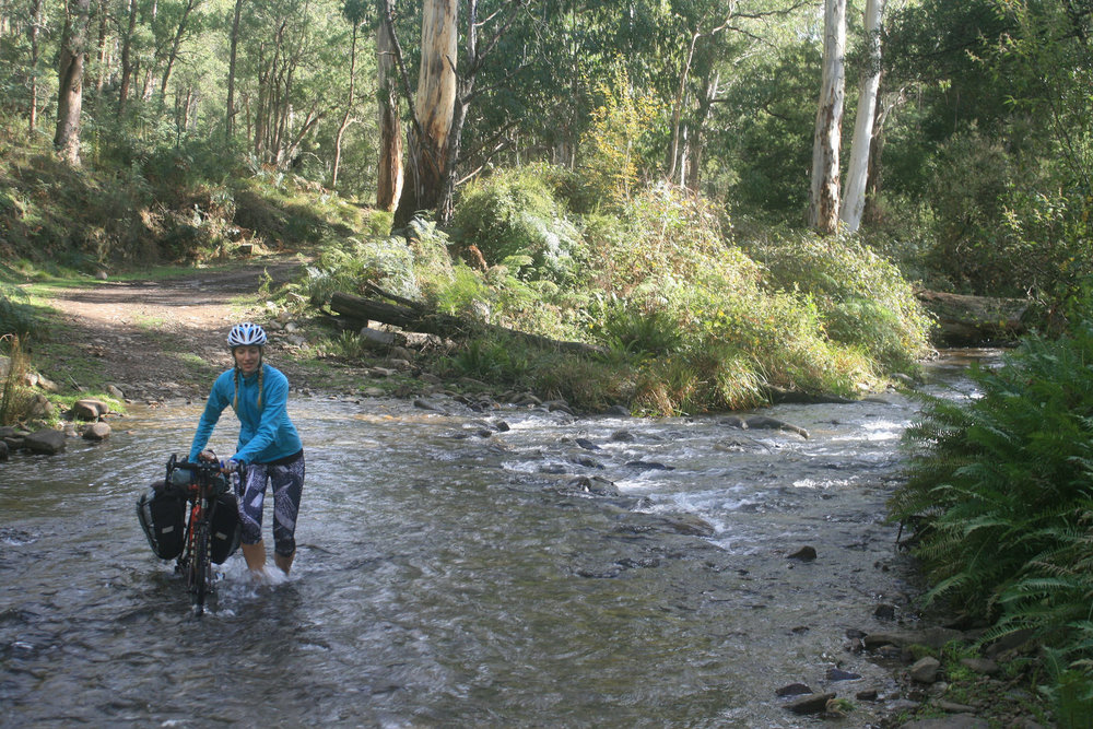 mount murray track high country cycle touring