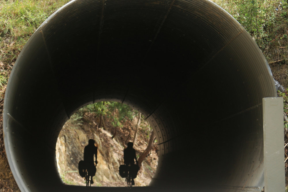 lilydale warburton rail trail tunnel bikepacking