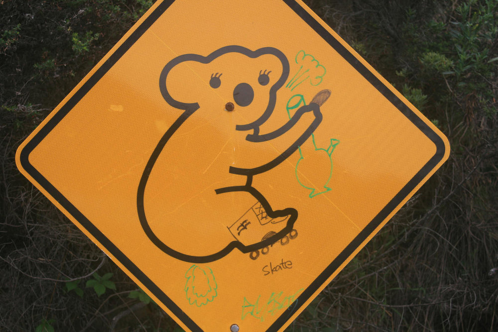 great ocean road koala roadsign