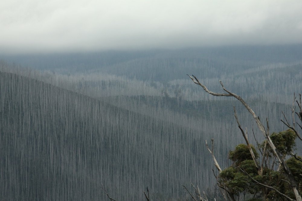 marysville yarra ranges black saturday