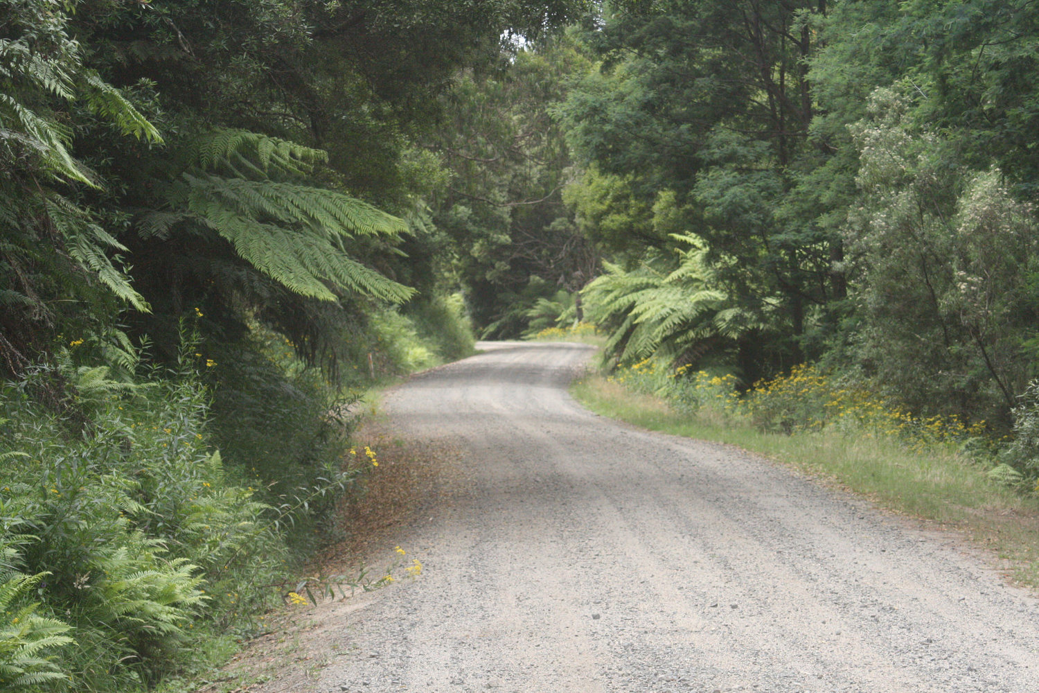 grand ridge road gravel ride