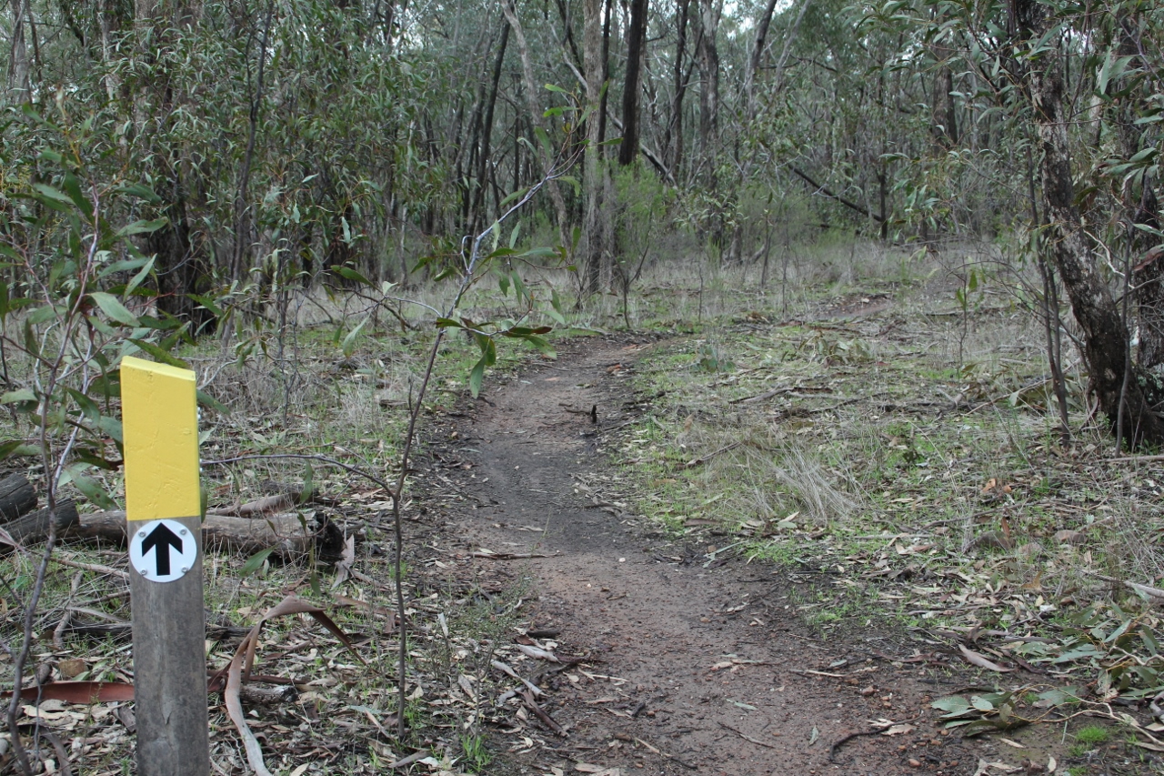 goldfields track signage mountain bike