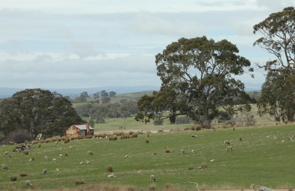Goldfields track scenery