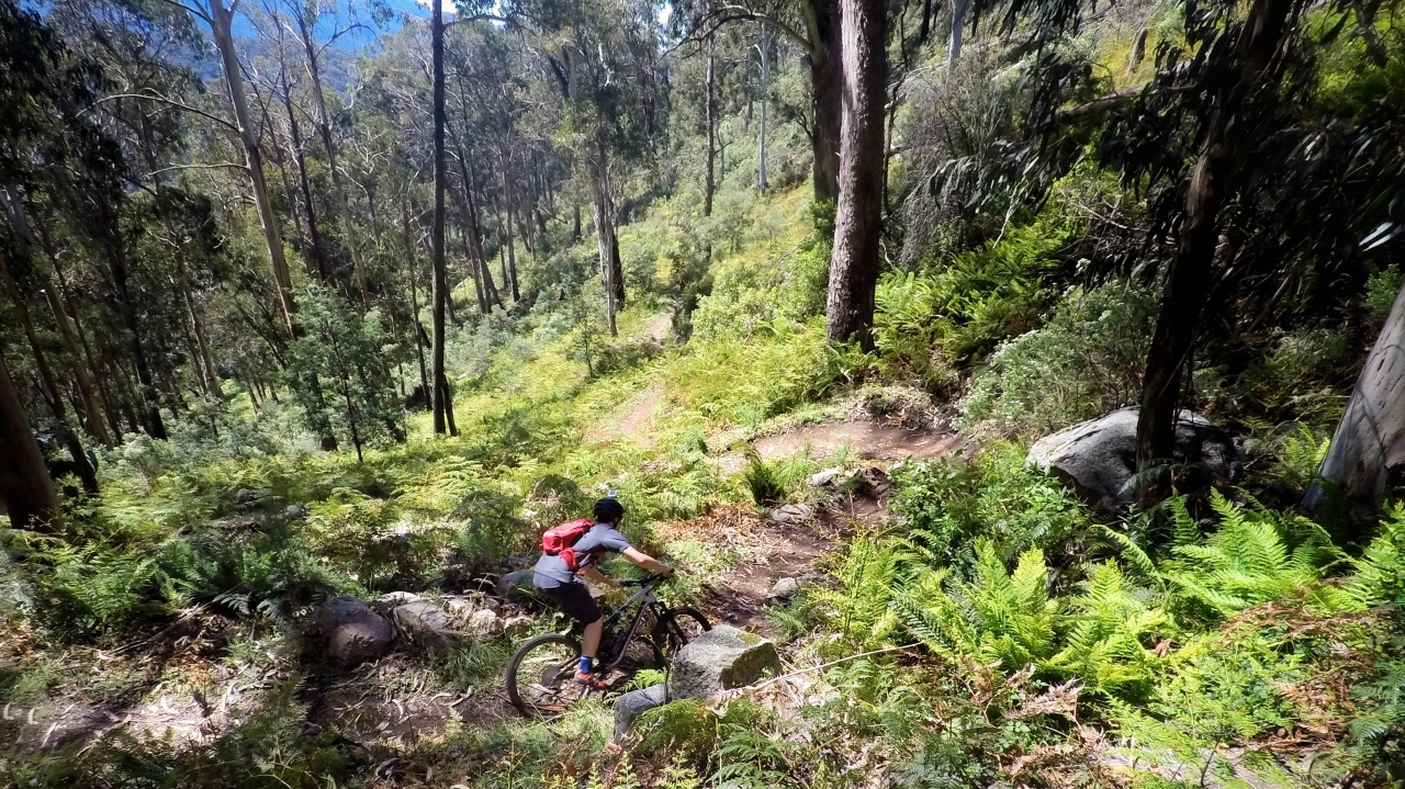 Australian Alpine Epic Buller MTB