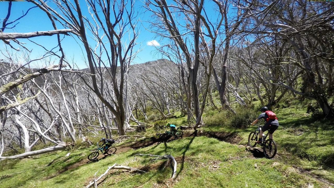 Australian Alpine Epic Buller MTB