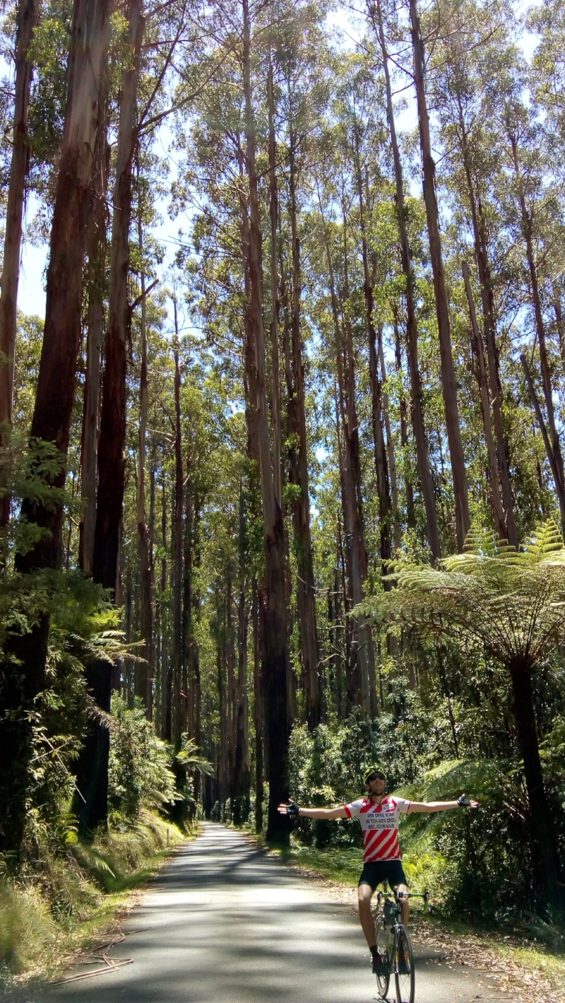 acheron way yarra ranges cycling