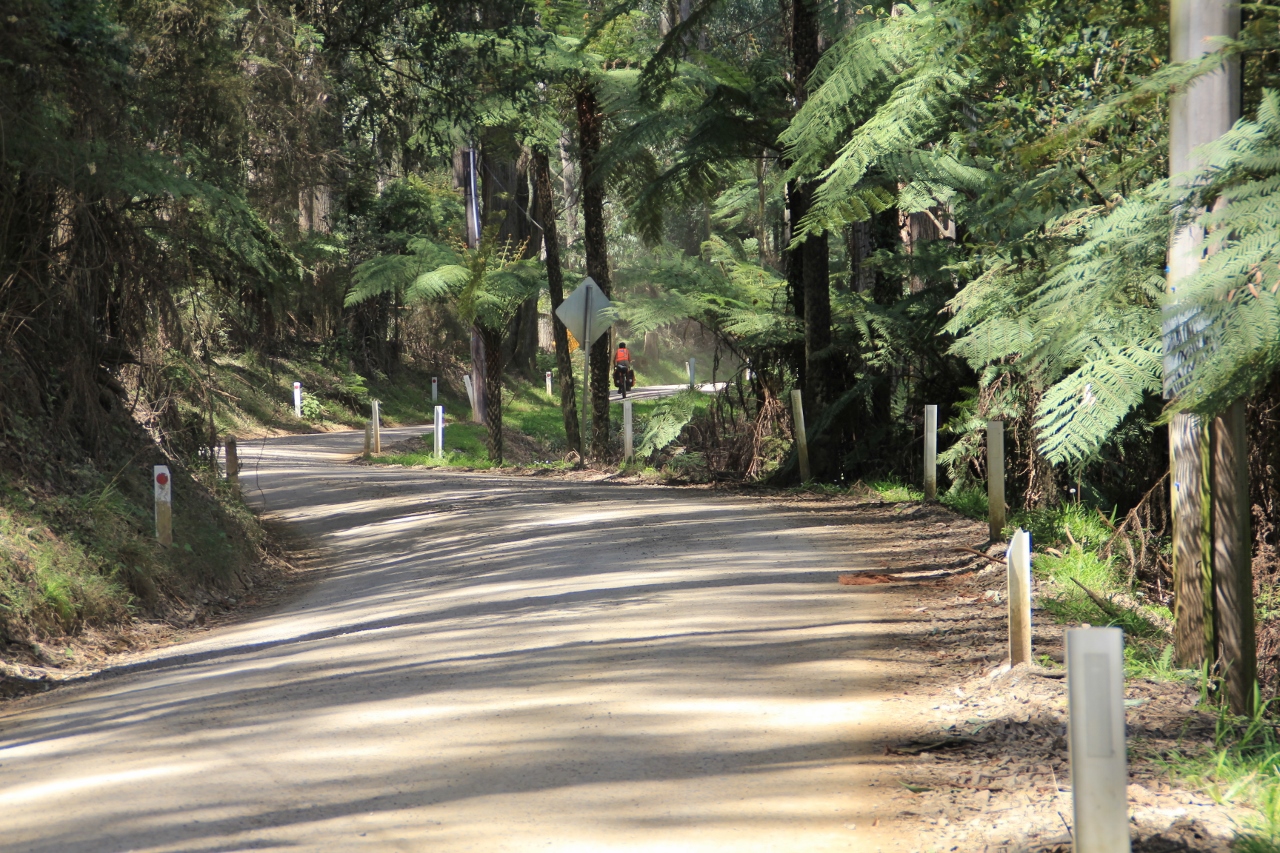 basin olinda road dandenongs cycling