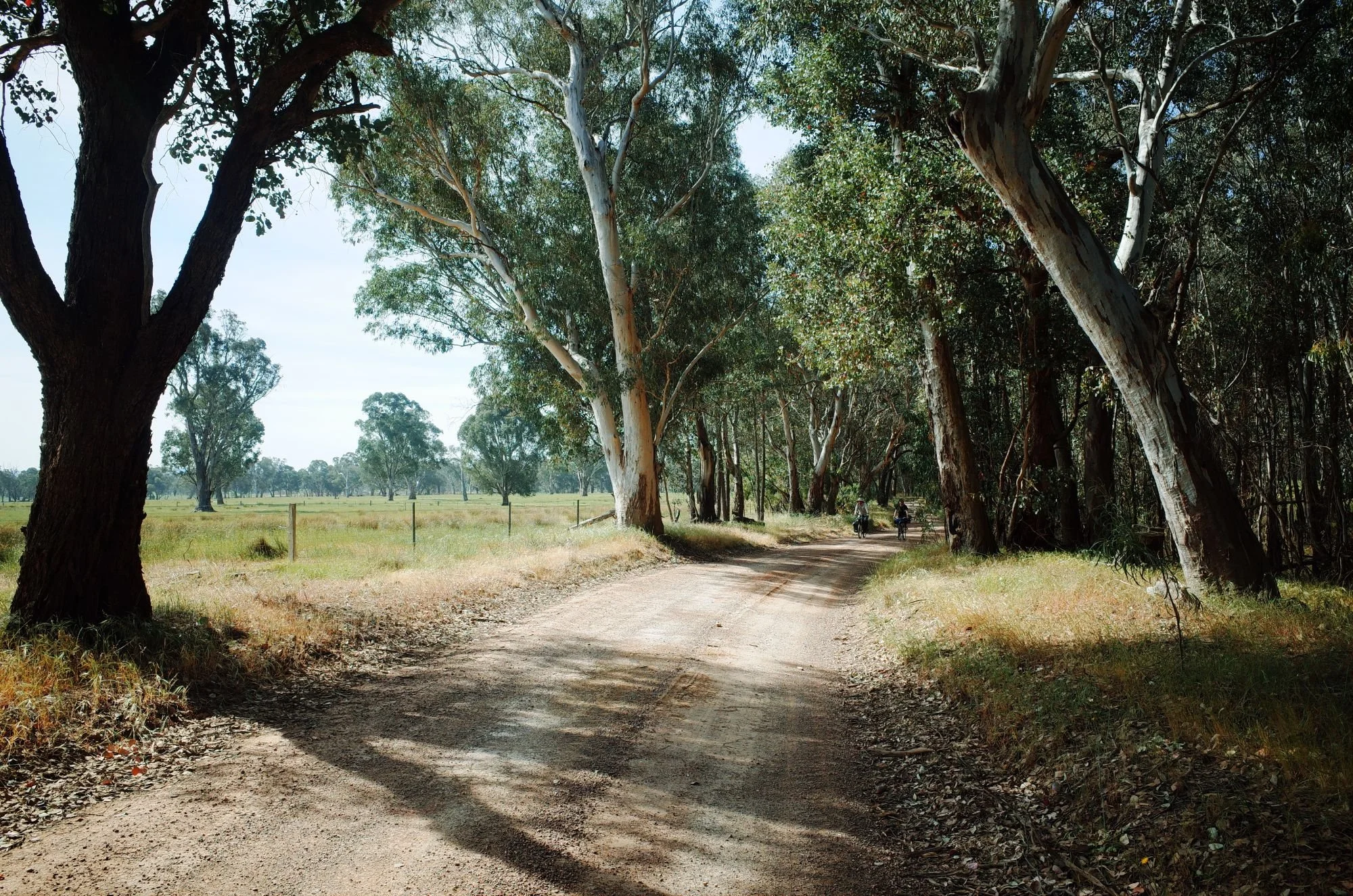 Rustlers Ramble — Adventure Cycling Victoria