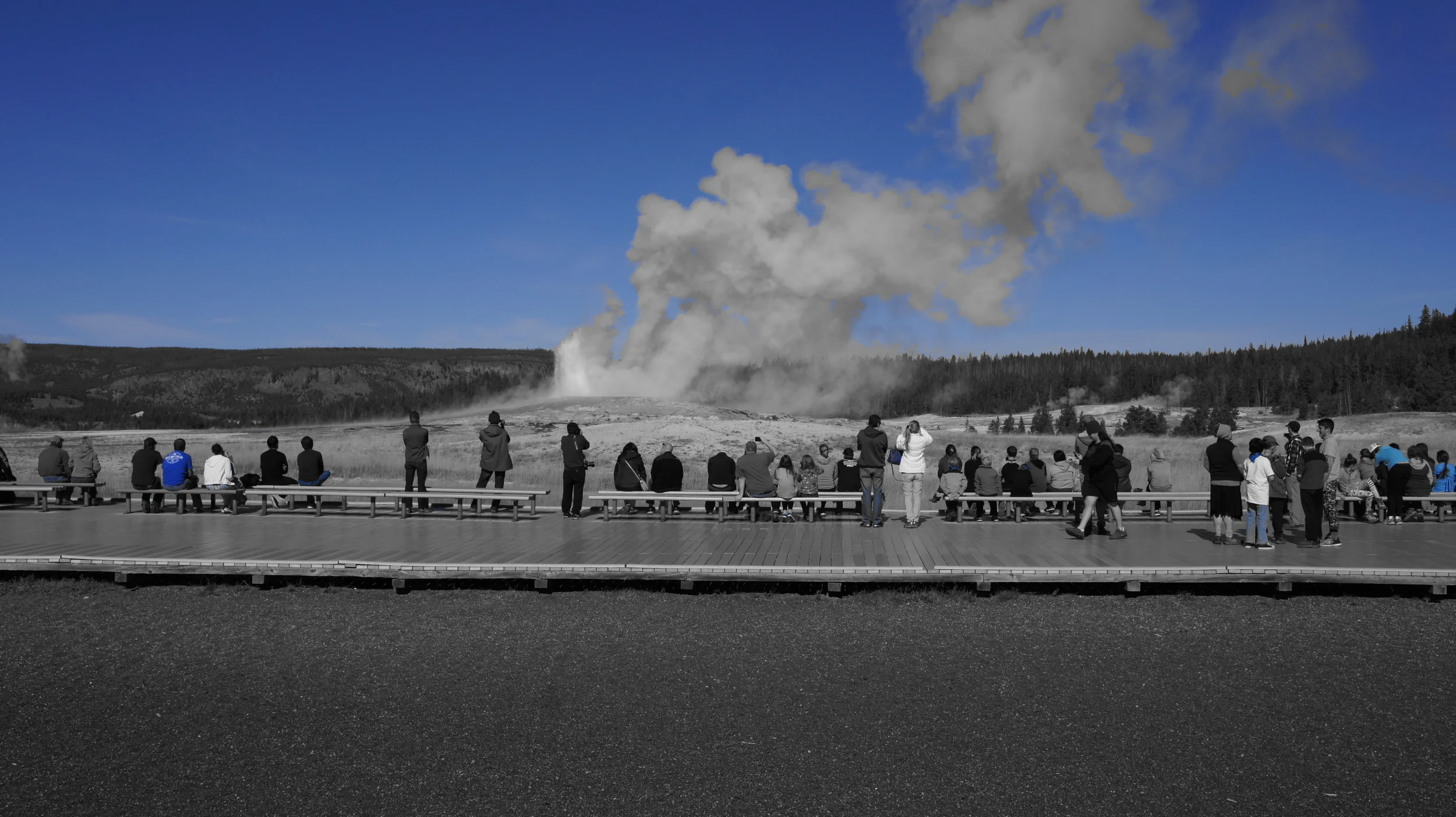 _DSC3255.JPG