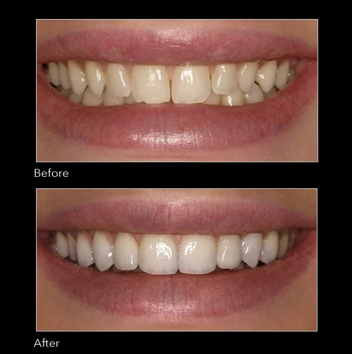 Dentistry by Dr. Jay A. Nelson, Lutz, FL