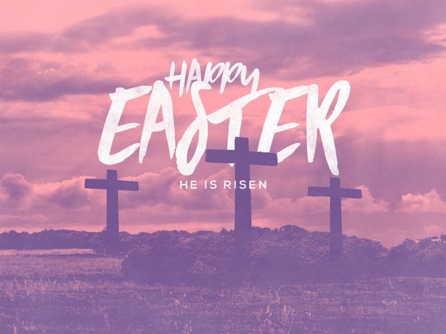 The great gift of Easter is HOPE. We serve a risen Savior! 

&quot;...so that you do not grieve as the rest of mankind, who have no hope.&quot; - 1 Thessalonians 4:13

Have you ever felt hopeless? Be encouraged! God is still working. Happy Easter fro