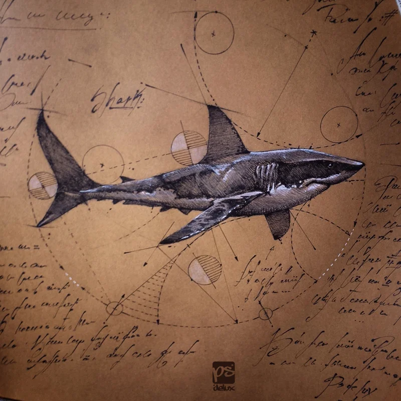 illustration by psdelux