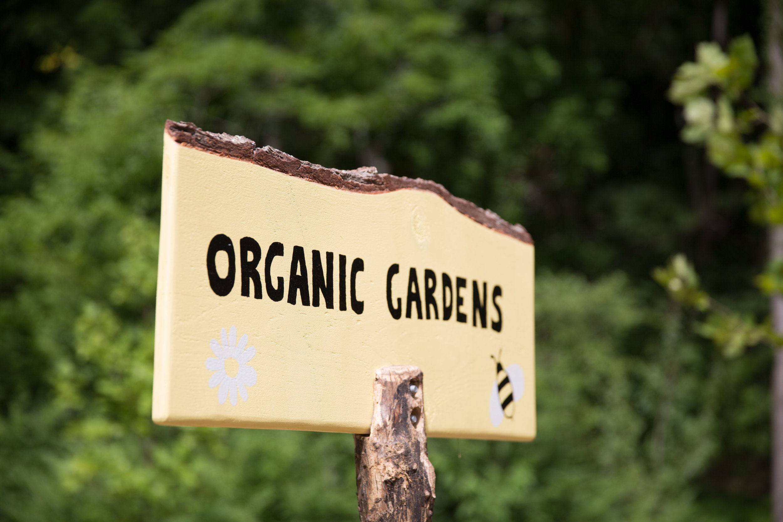 Organic Community Garden.jpg