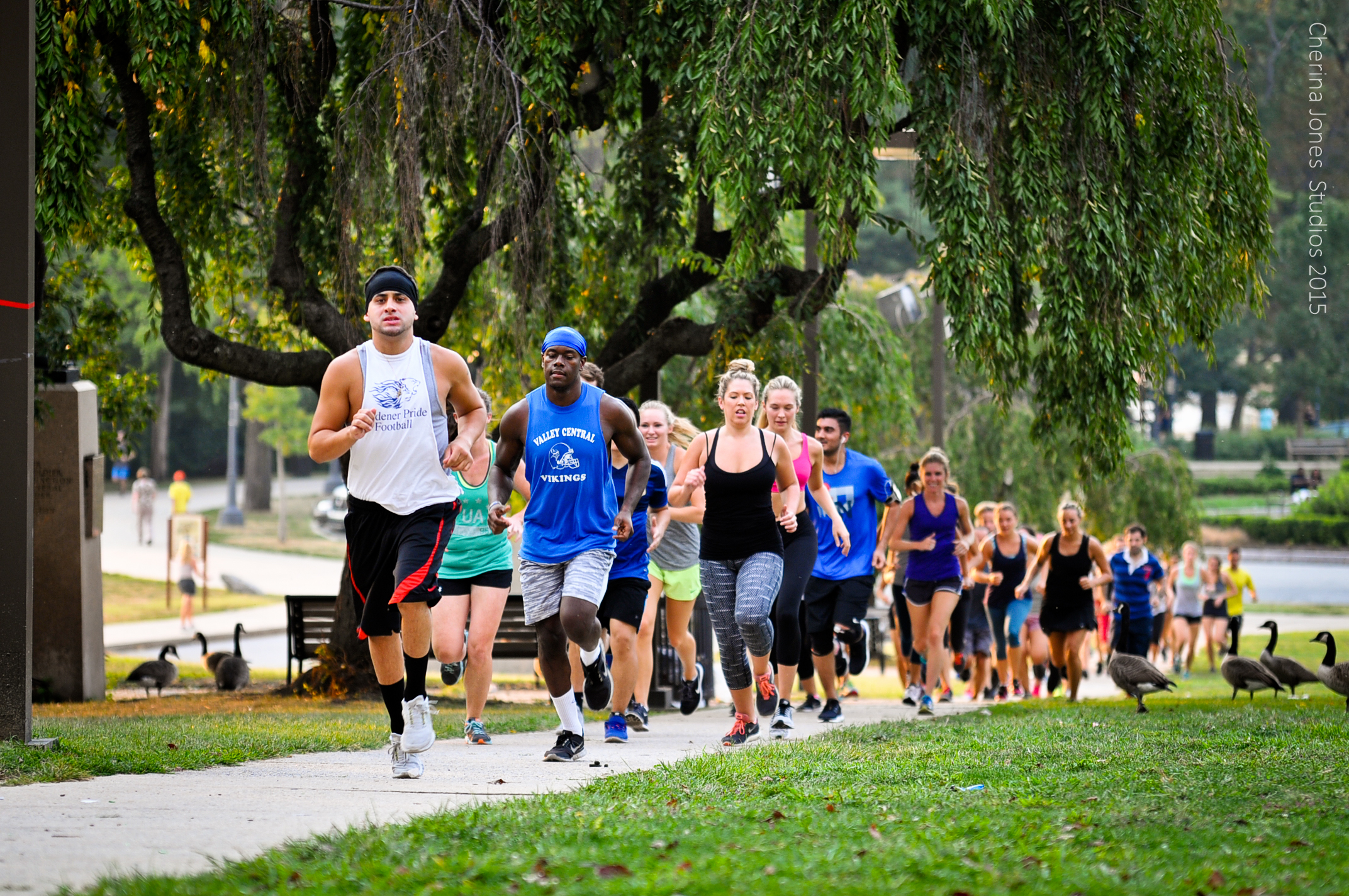 Structured and Scenic 