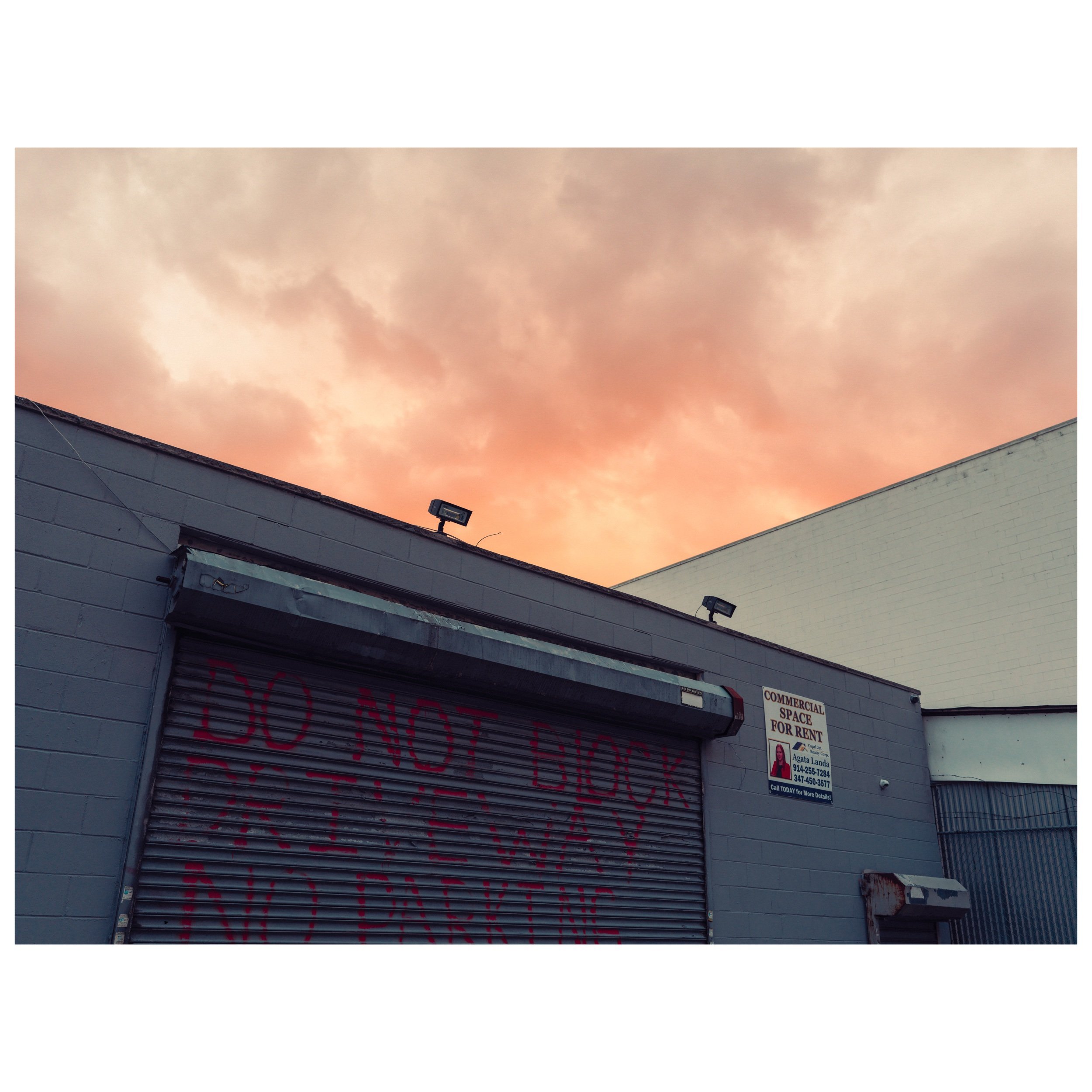Whitagram-Image.jpeg