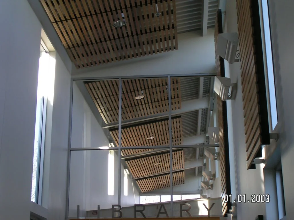 Linear Wood Ceilings and Walls.jpg