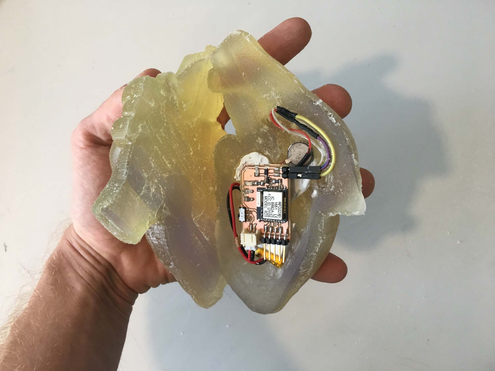 34.jpg