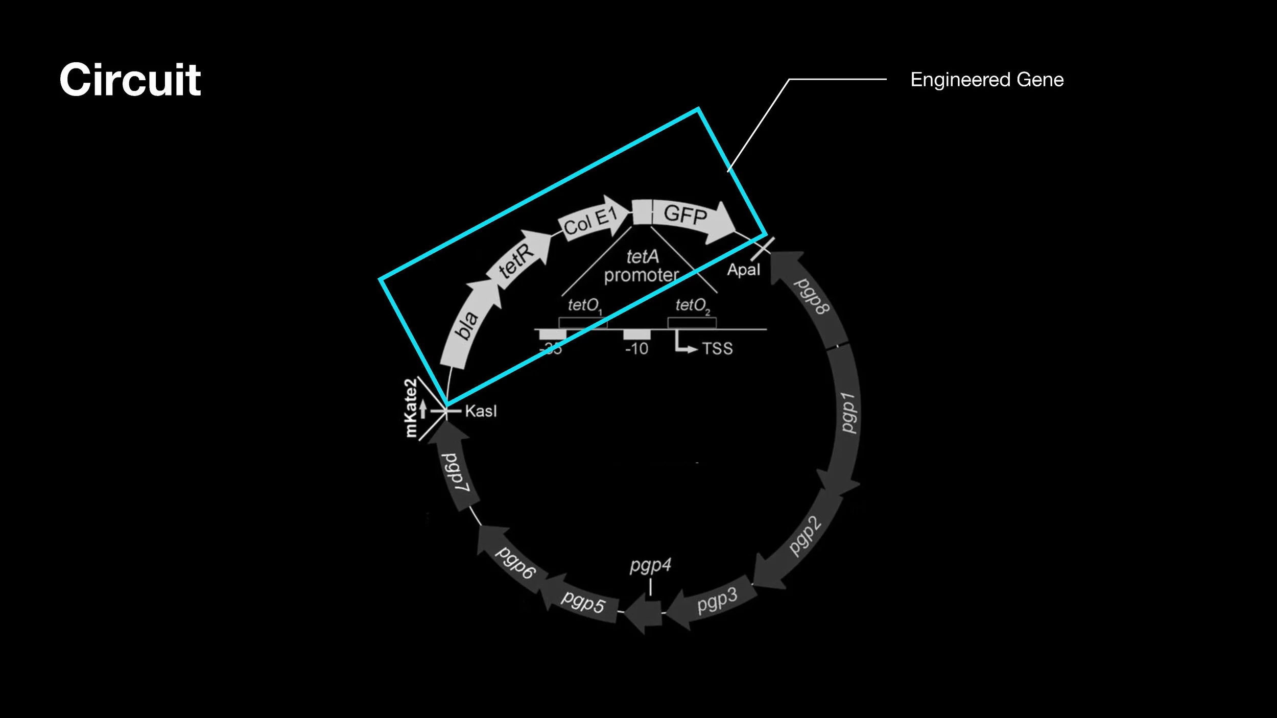 HTGAAT Final Presentation.pptx copy_Page_17.jpg