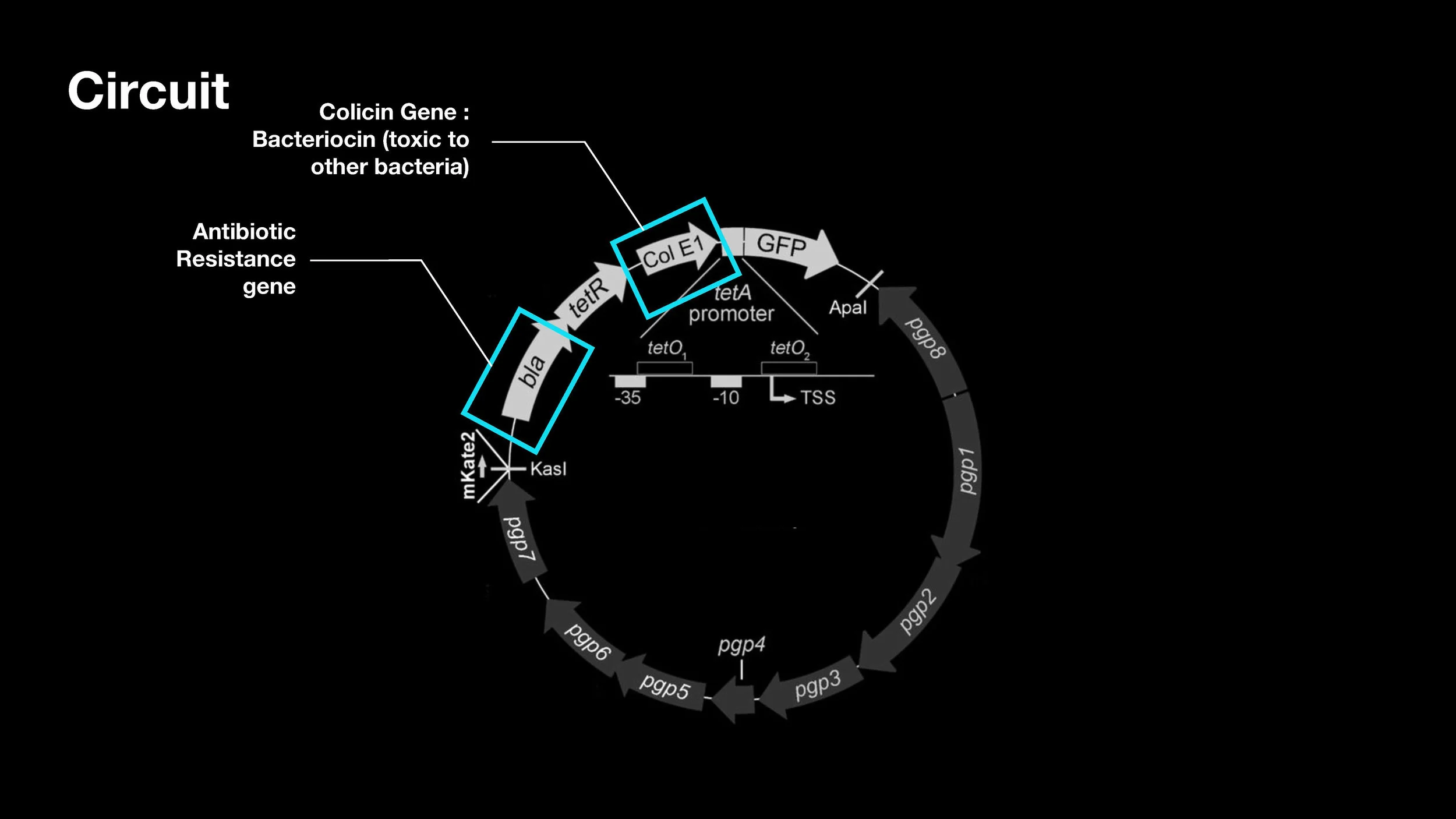 HTGAAT Final Presentation.pptx copy_Page_20.jpg