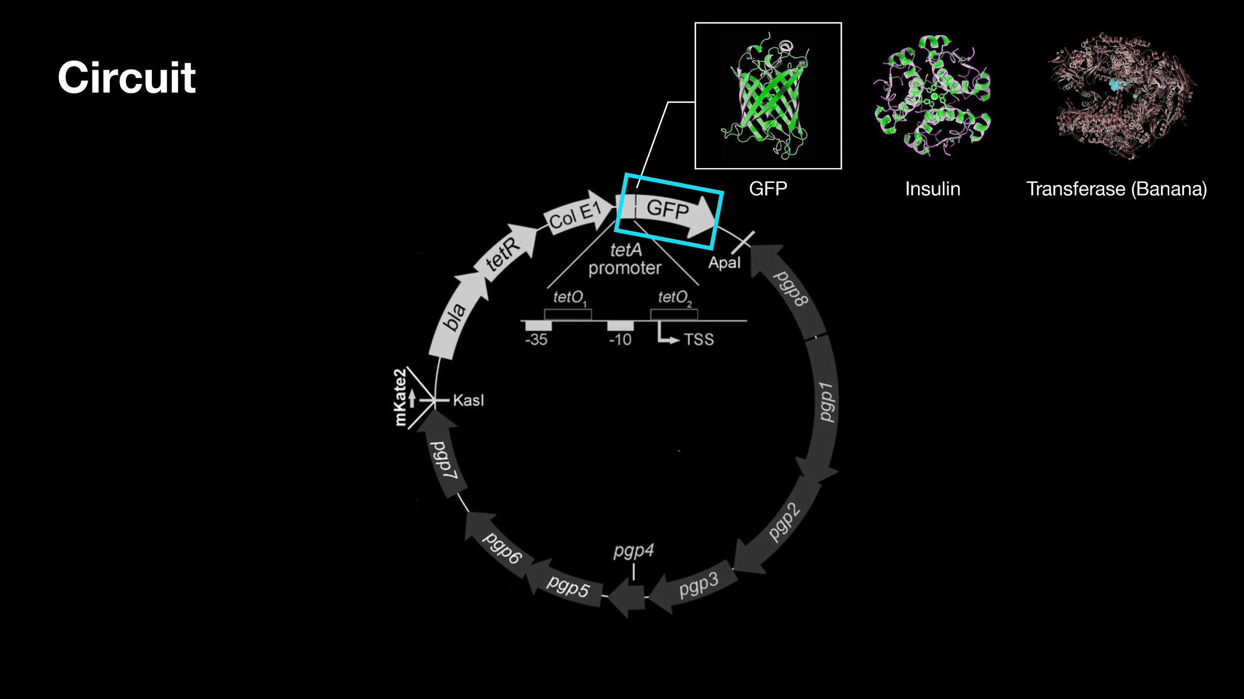 HTGAAT Final Presentation.pptx copy_Page_18.jpg