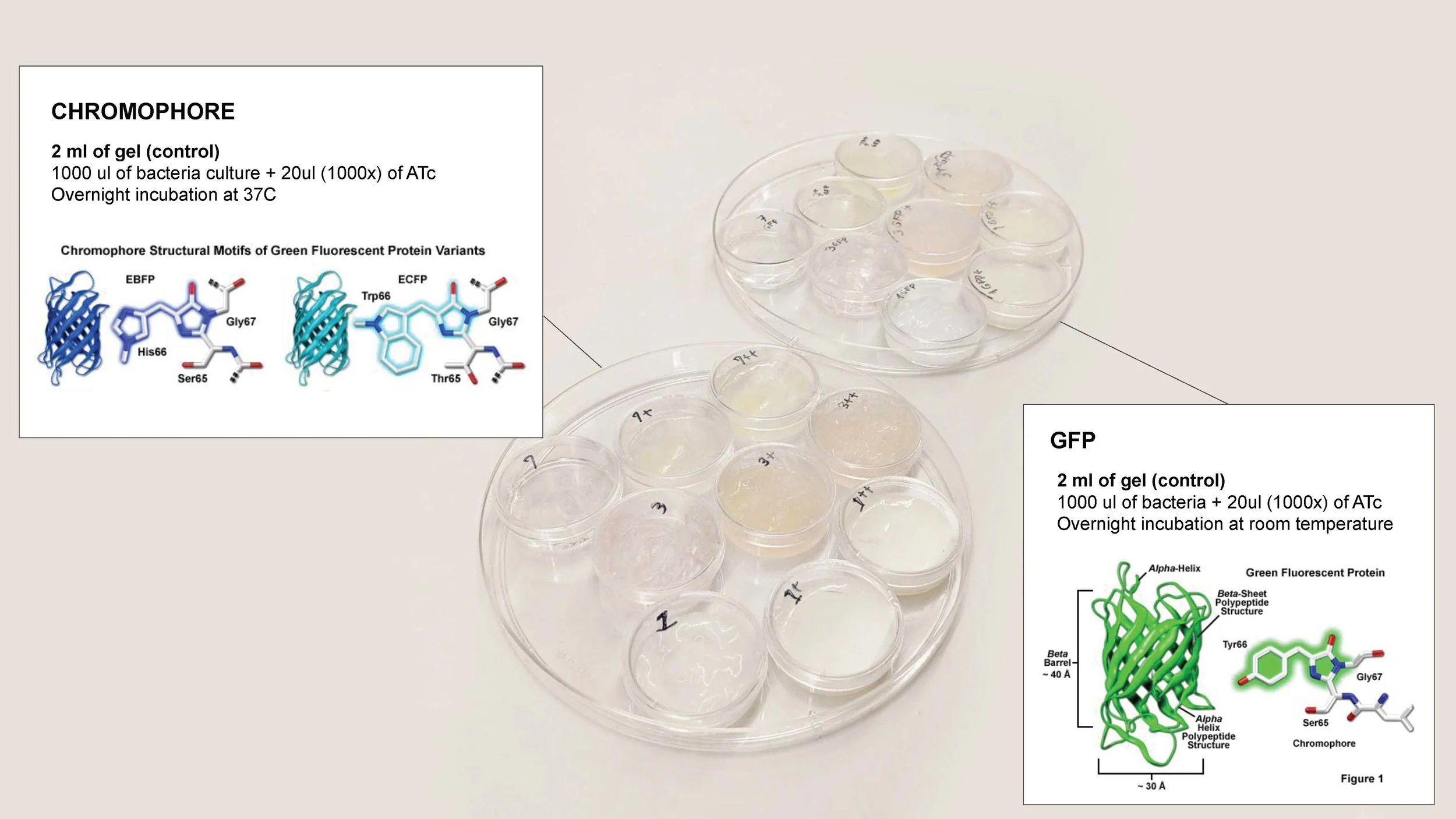  Cream was created in collaboration with  Pat ,  Judith , and  Brandon . 