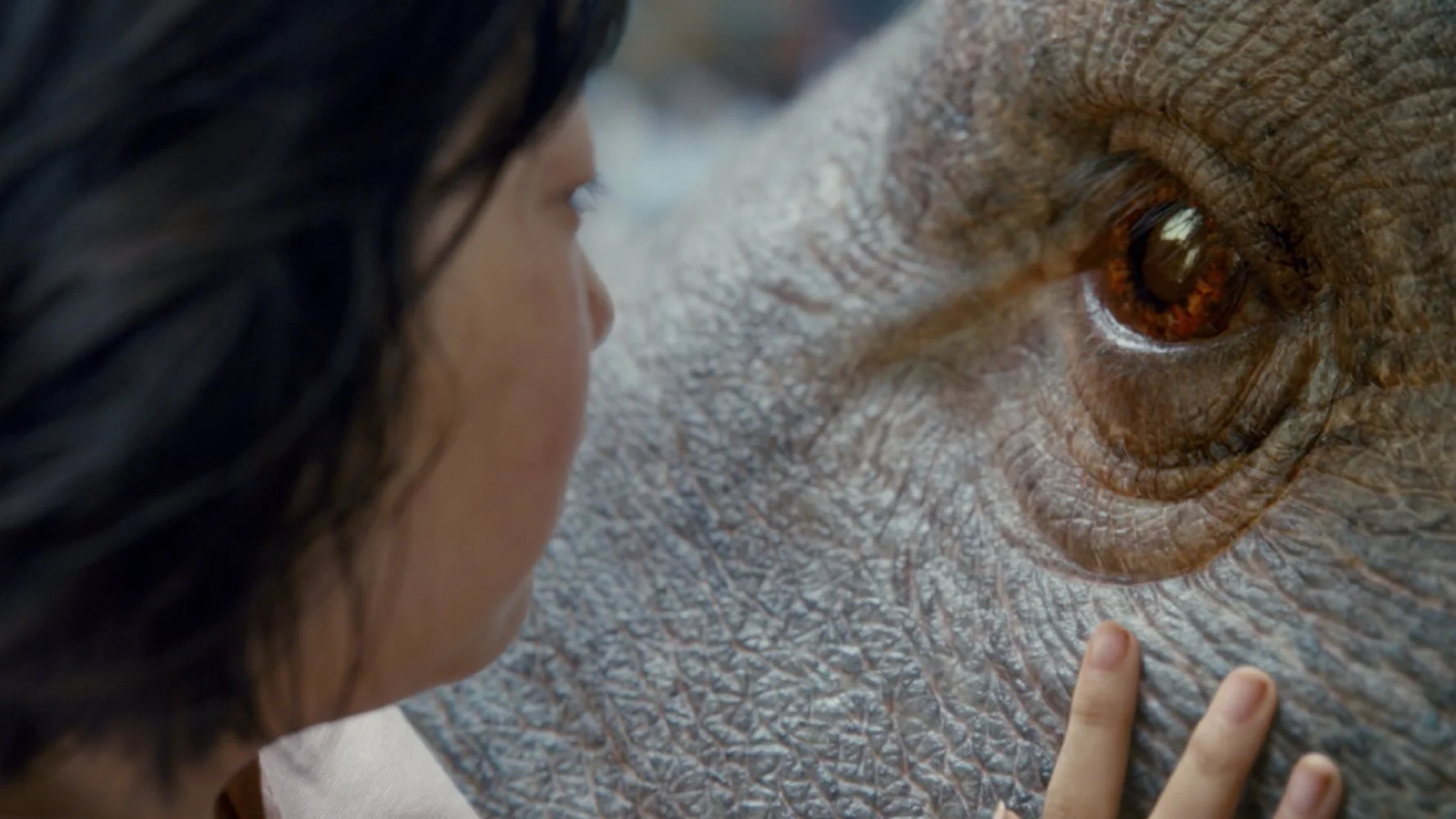 okja 1.jpg