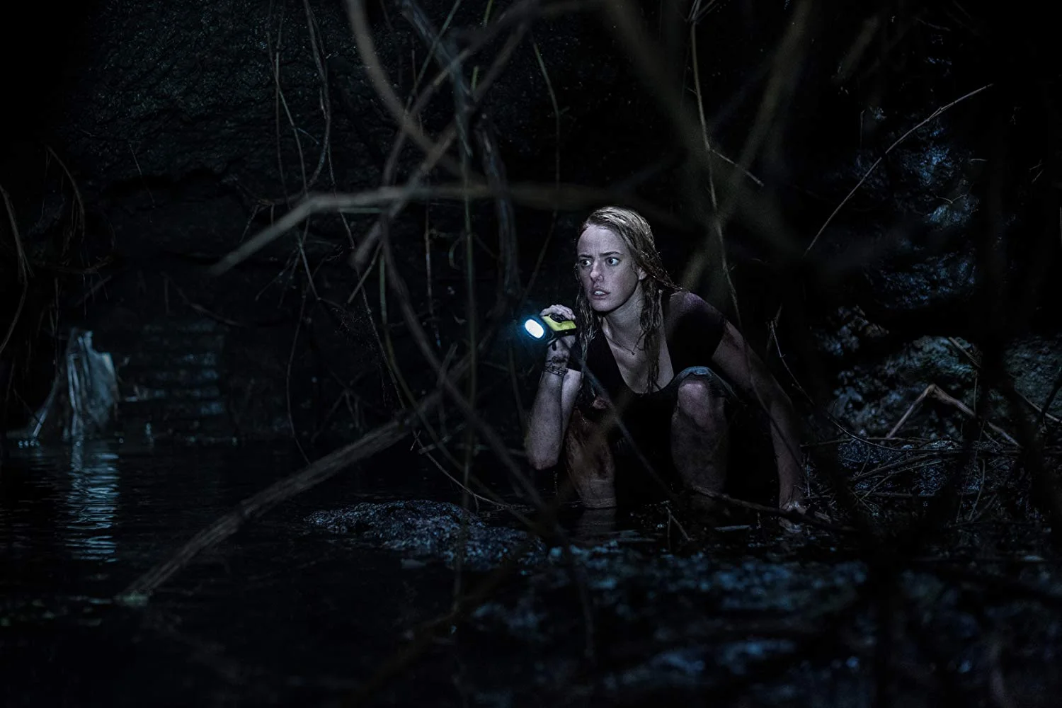 crawl 1.jpg