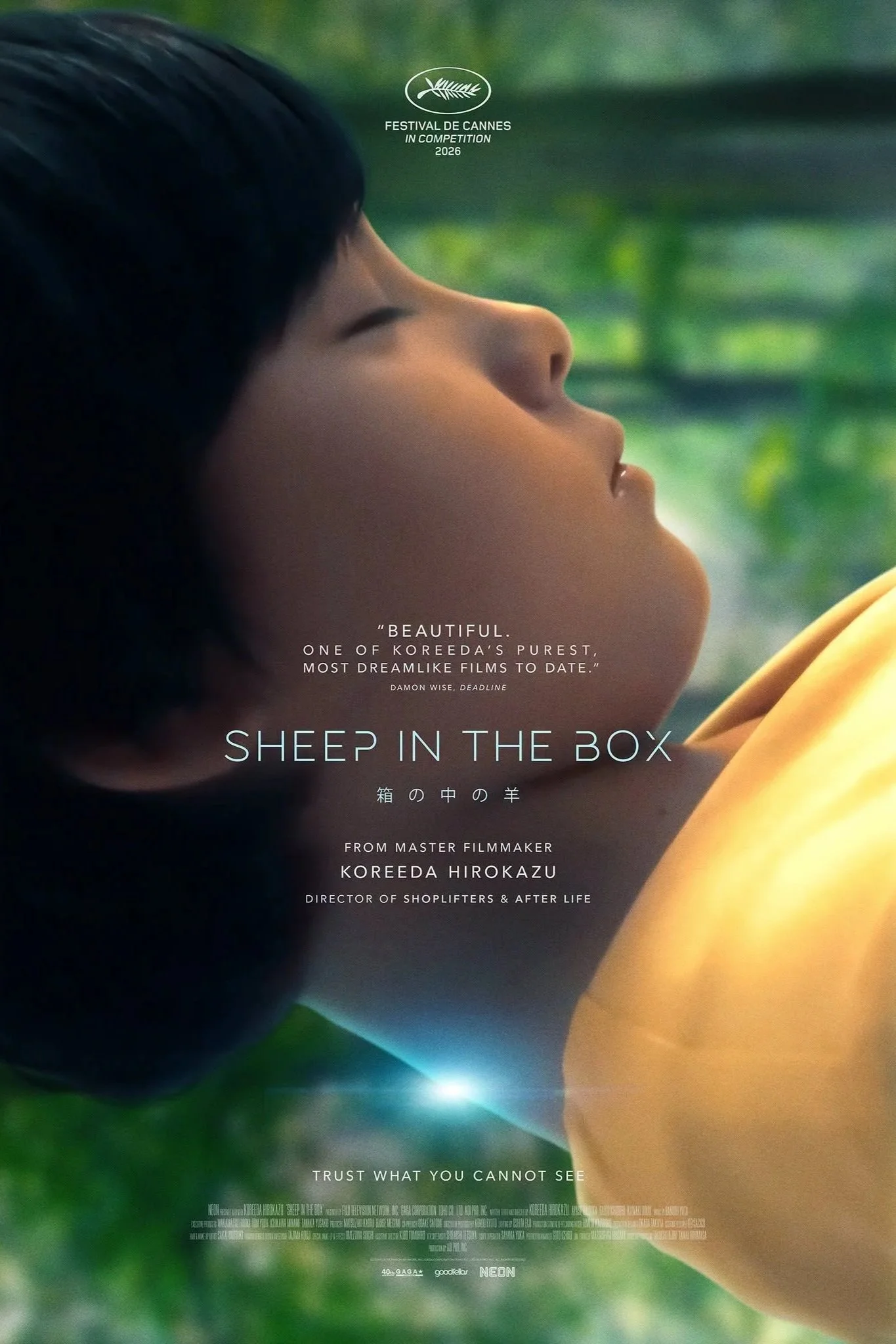 Sheep in the Box
