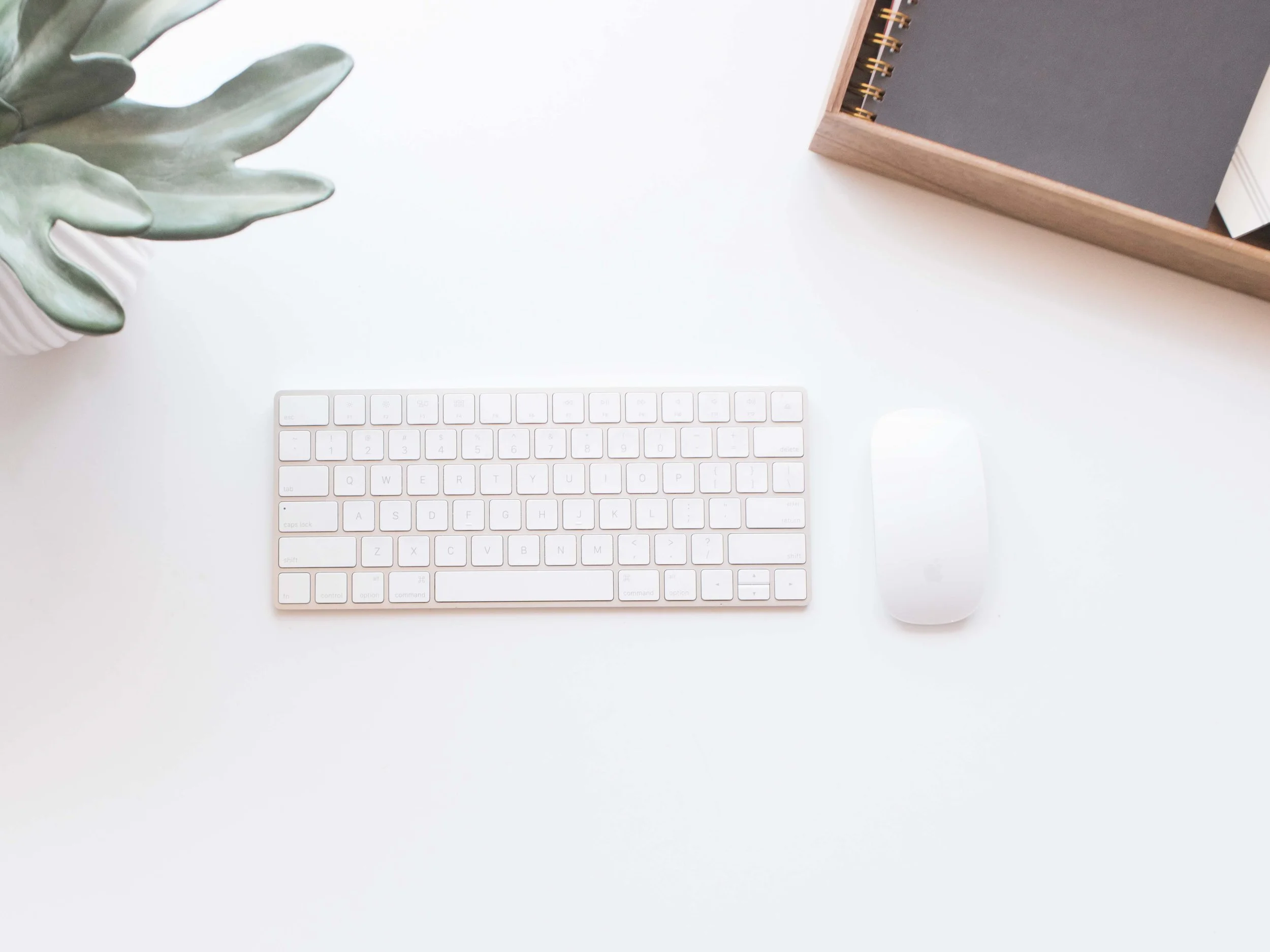 How to prepare for a rebrand