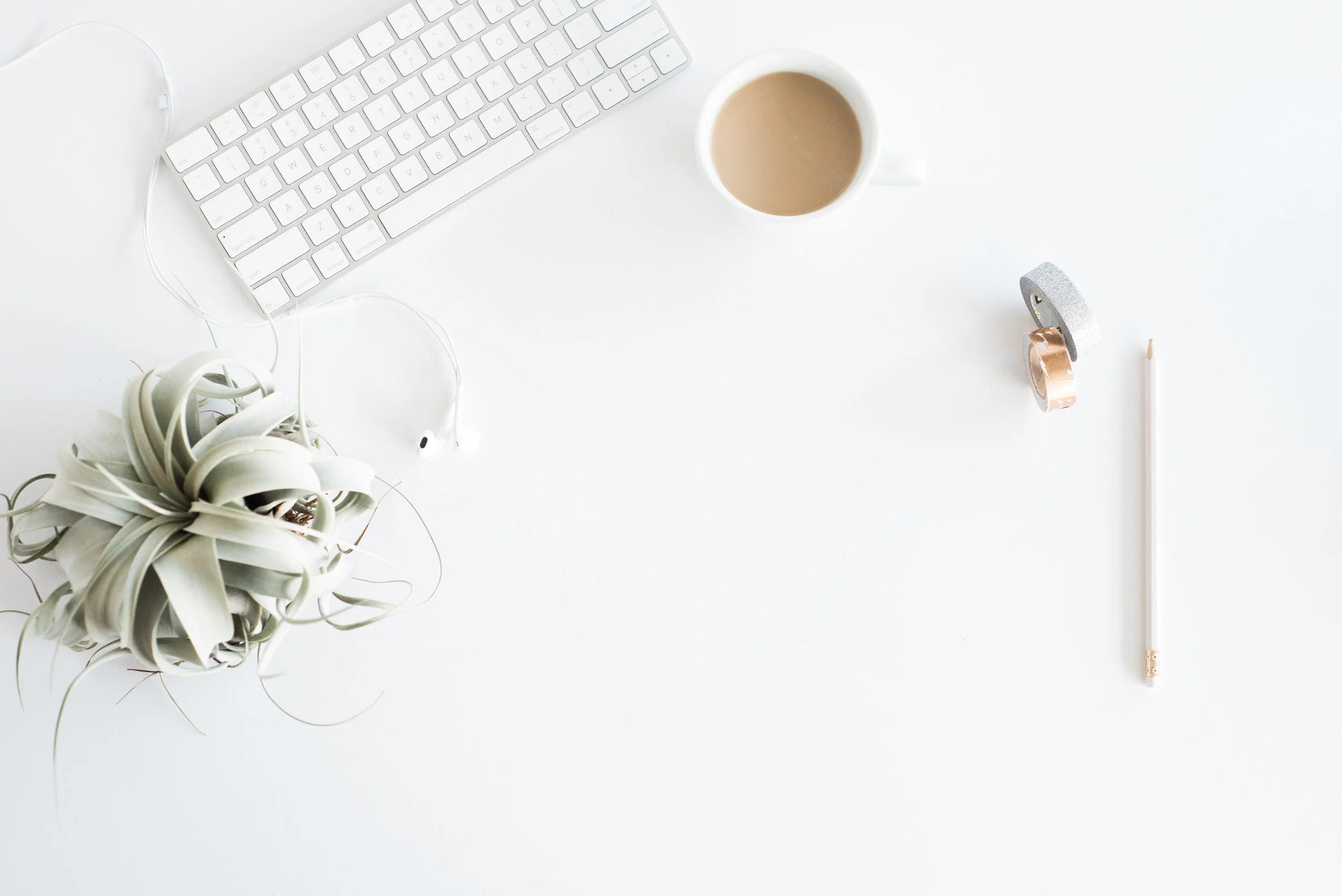 3 things that are a must-haves on any website