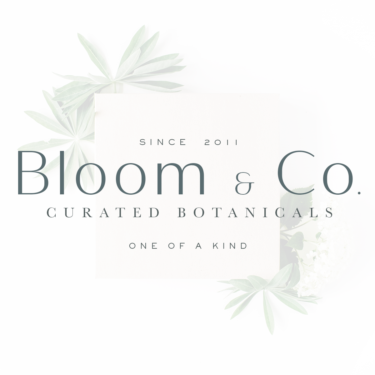 Bloomandco.png
