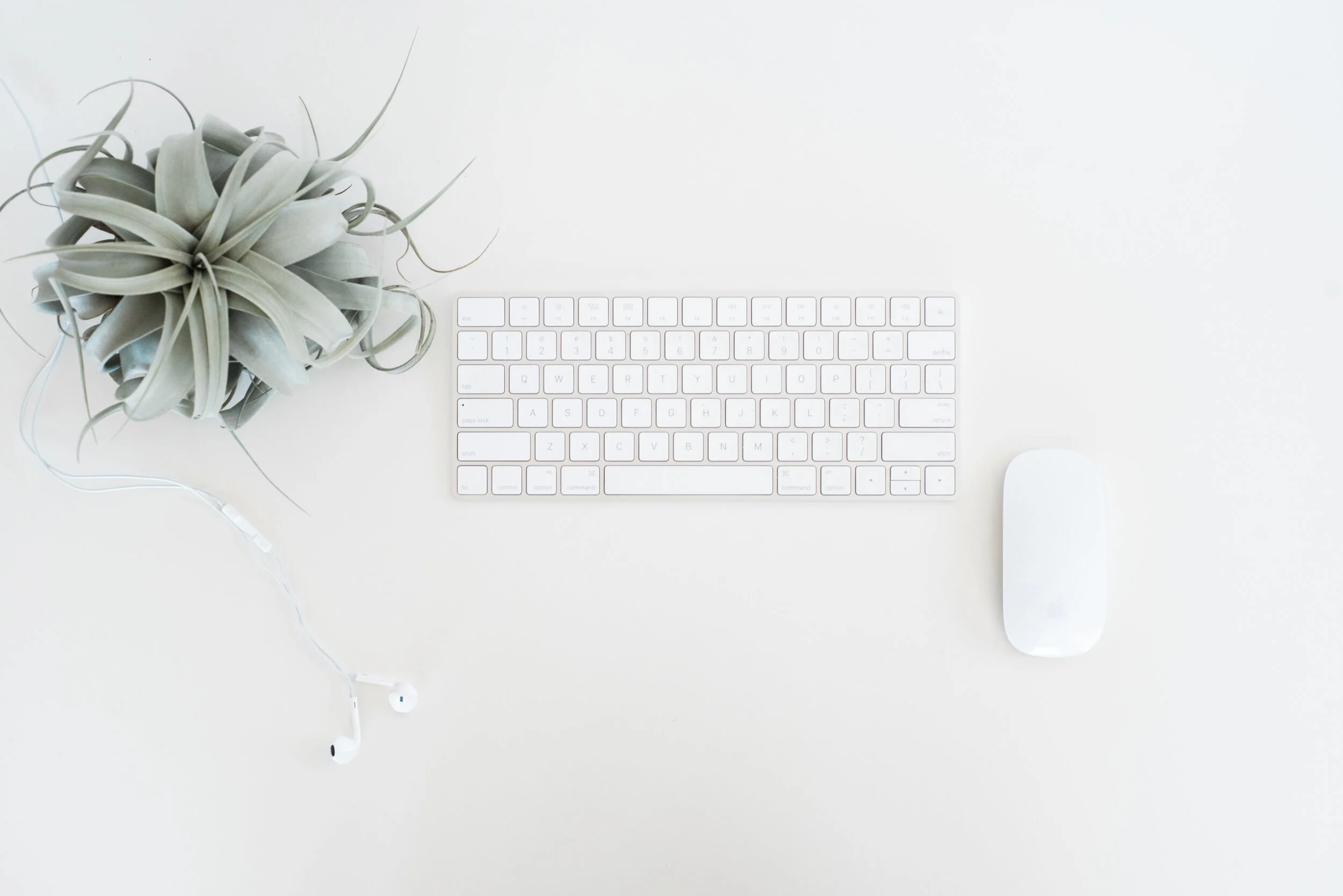 Taking charge of your business during COVID-19