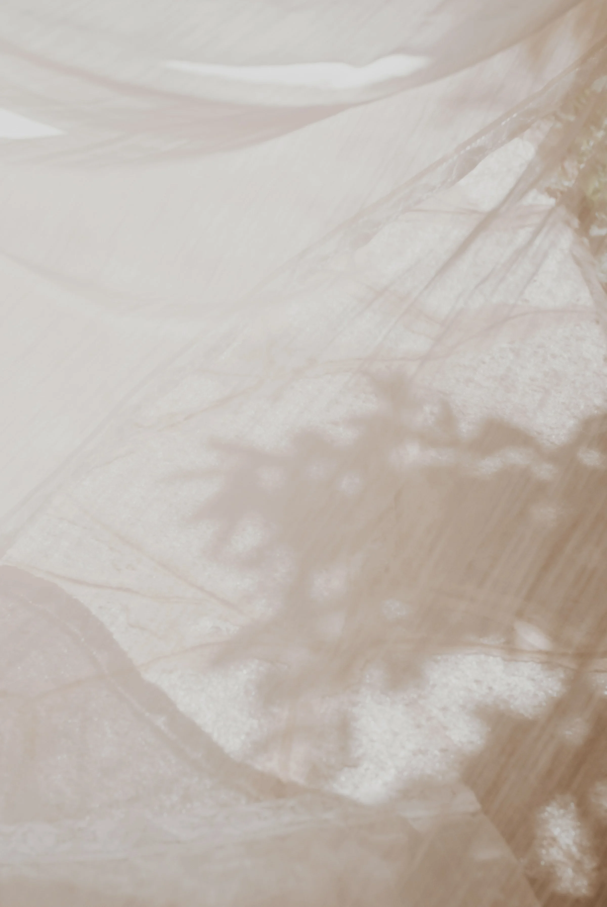 haute-stock-photography-subscription-mocha-collection-final-11.jpg