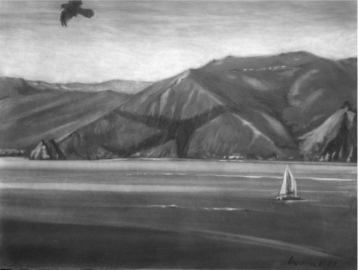   fly-over   conte crayon on panel  18"x 24" 