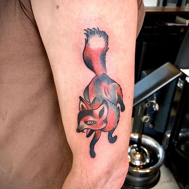 Wiley fox by @grb.tattoo #tigerlilytattoo #tigerlily #tattoo #fox #ttt #tttism #traditionaltattoo #pdxtattoo #portlandtattoo #quarantine #stayhome #art #artist