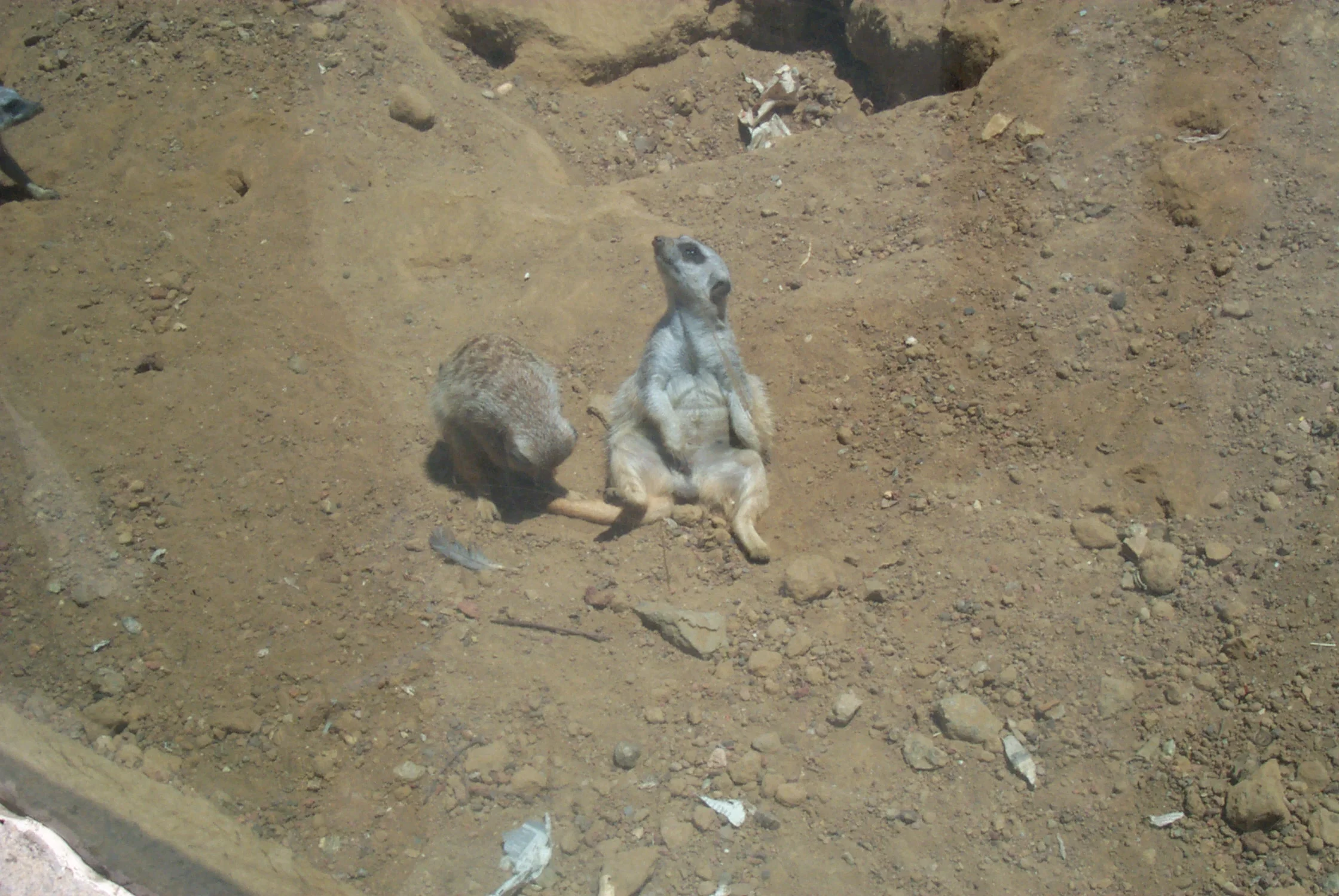 03.JPG